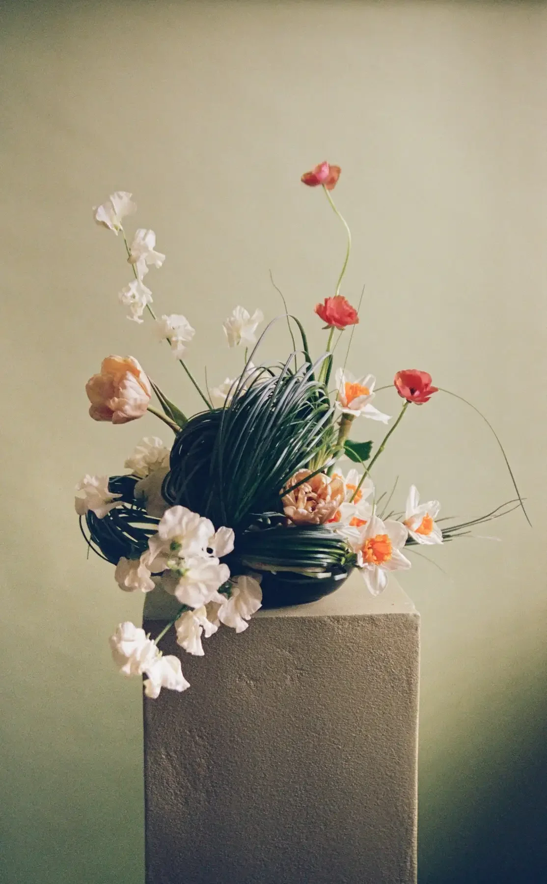 storyfloral-12_Original.webp