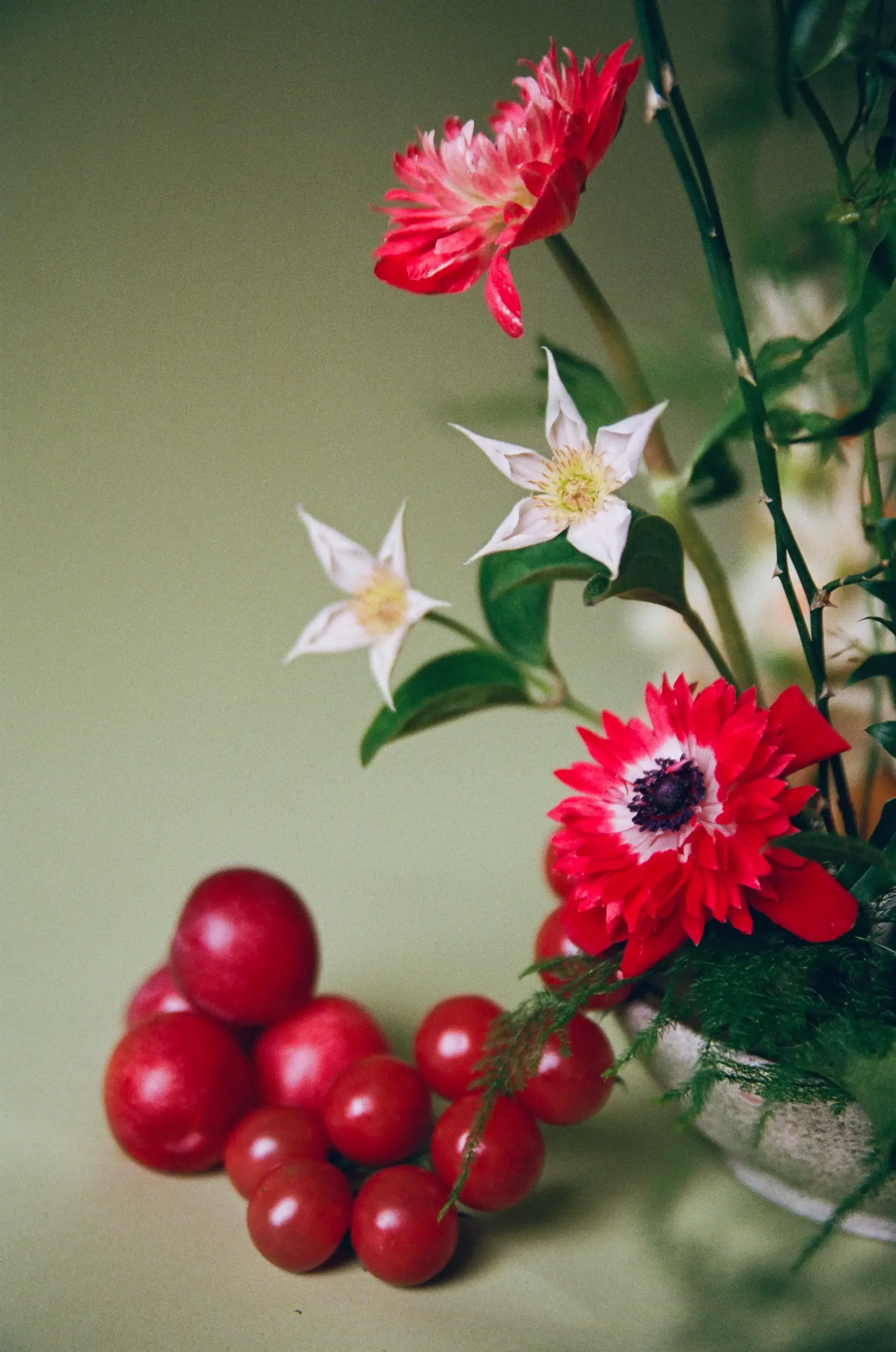 storyfloral-34.webp