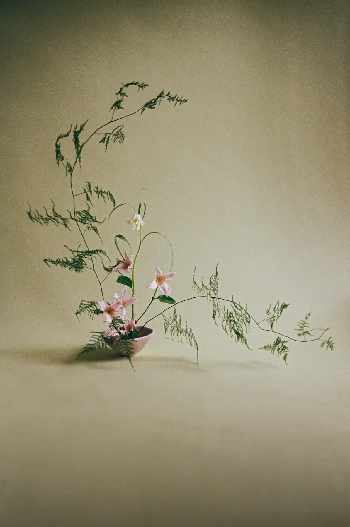 storyfloral-22_Original.webp