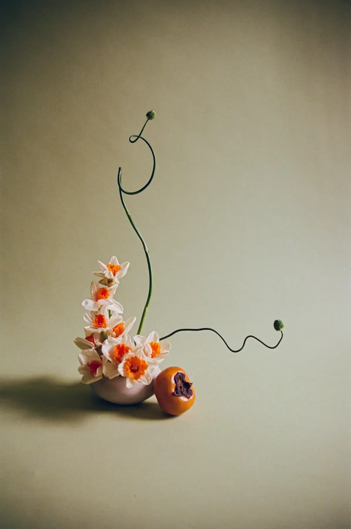 storyfloral-40_Original.webp