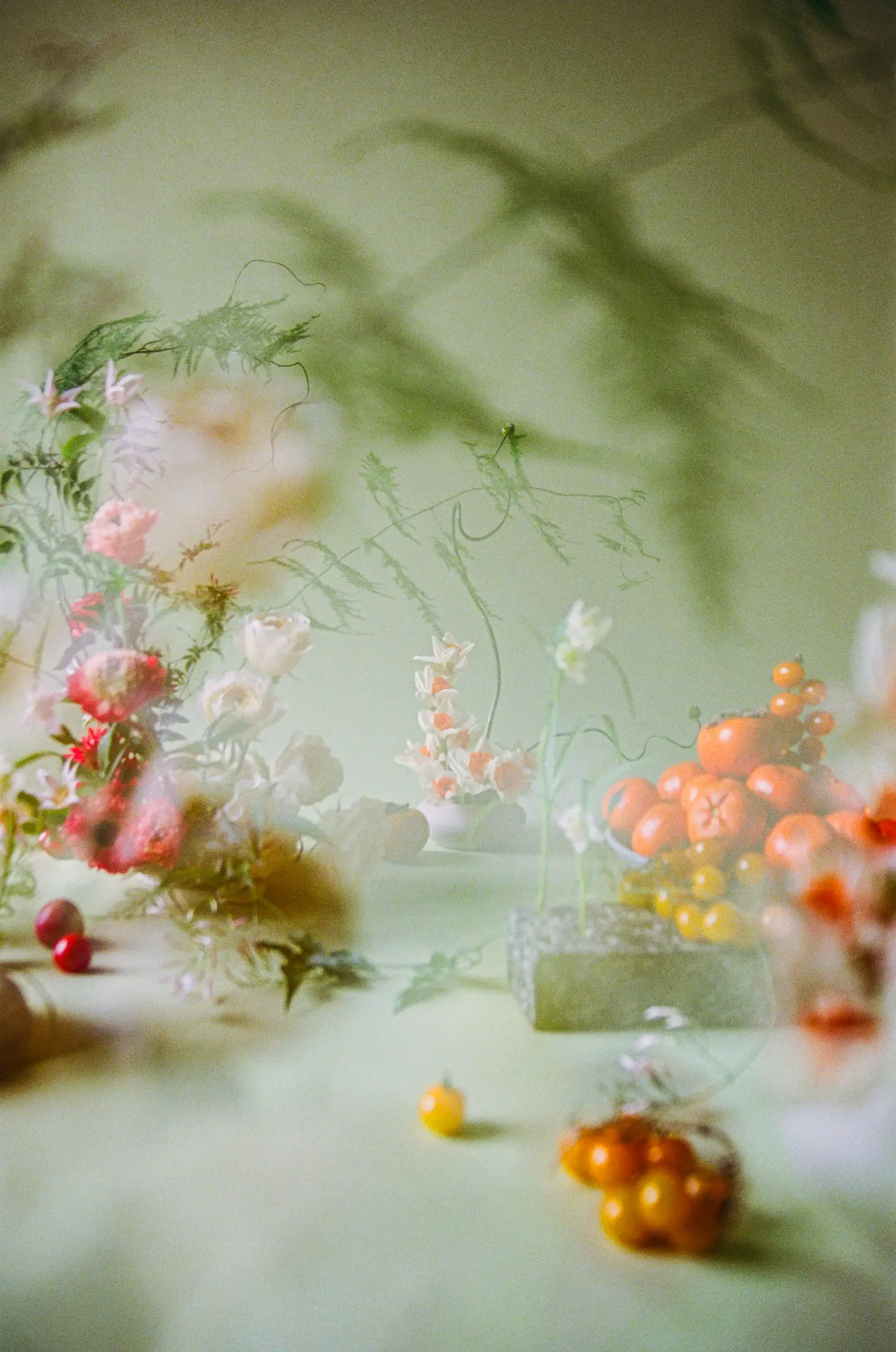 storyfloral-29.webp