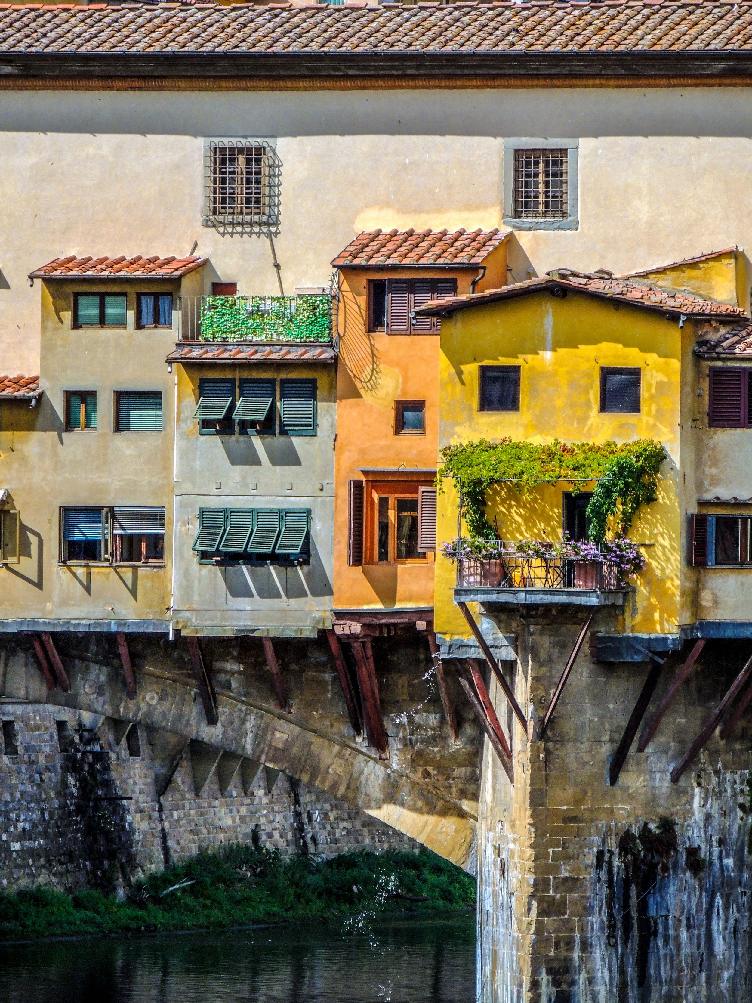 Florence's Vibrant Charm Print