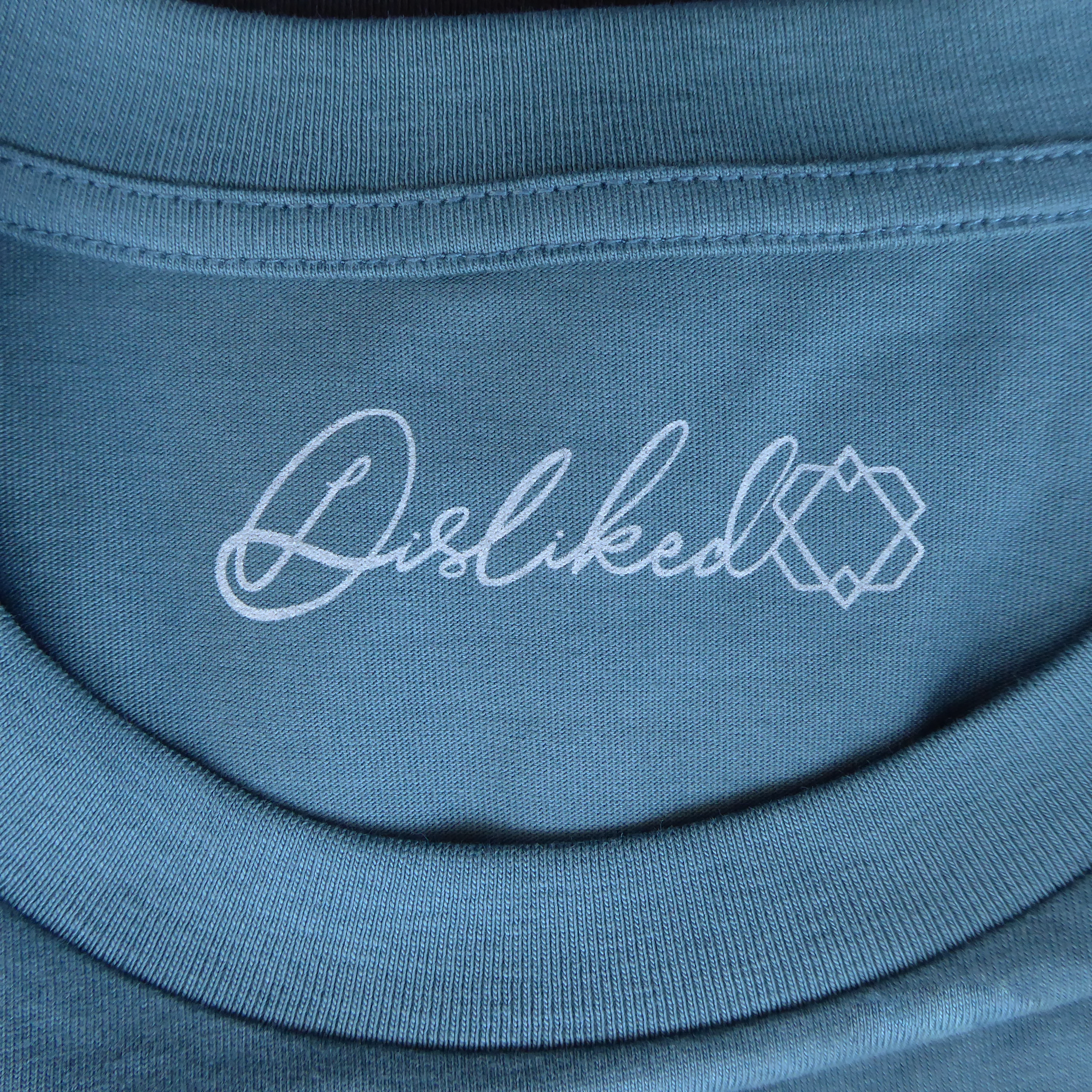 P1010472.png (copia)
