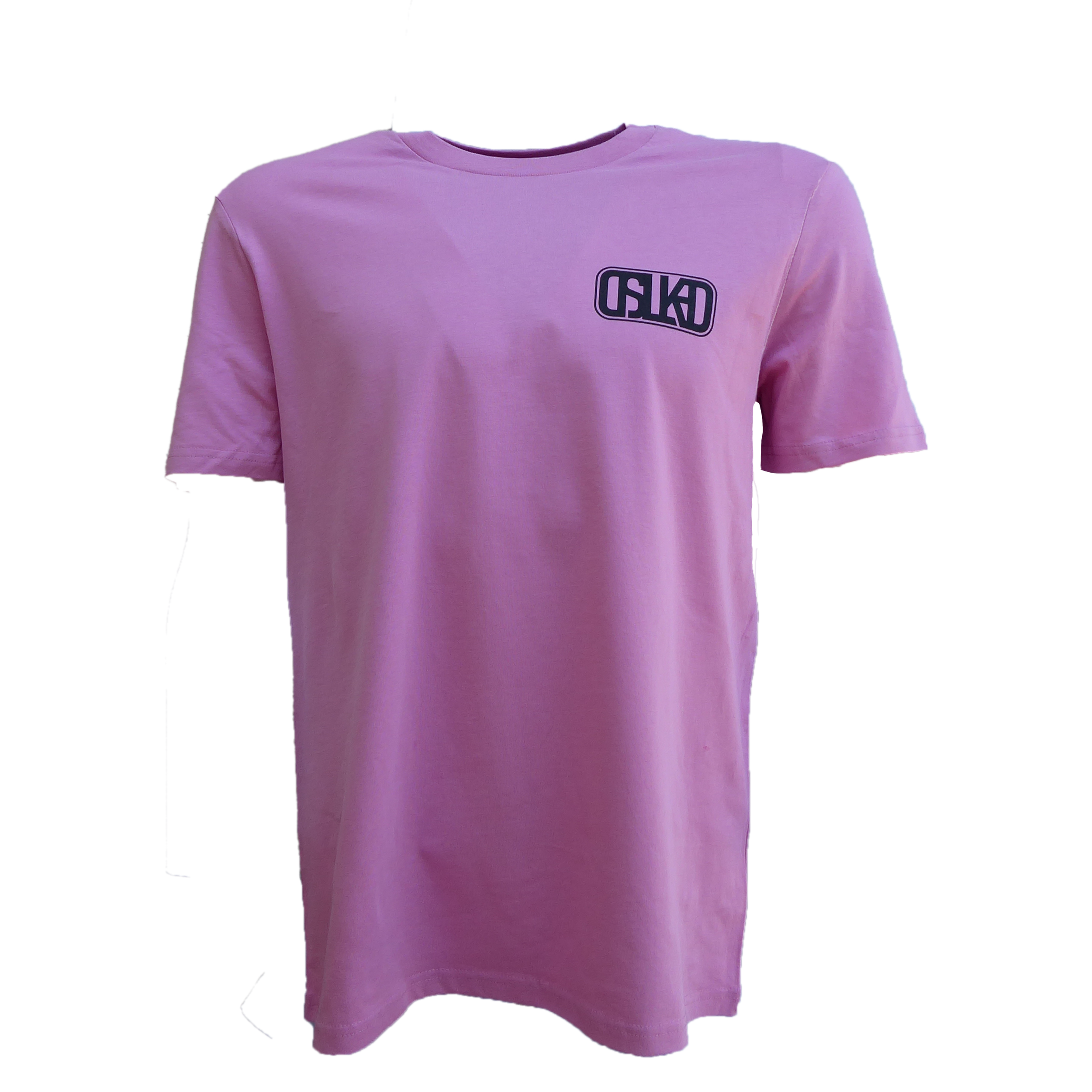 P1010502.png (copia)