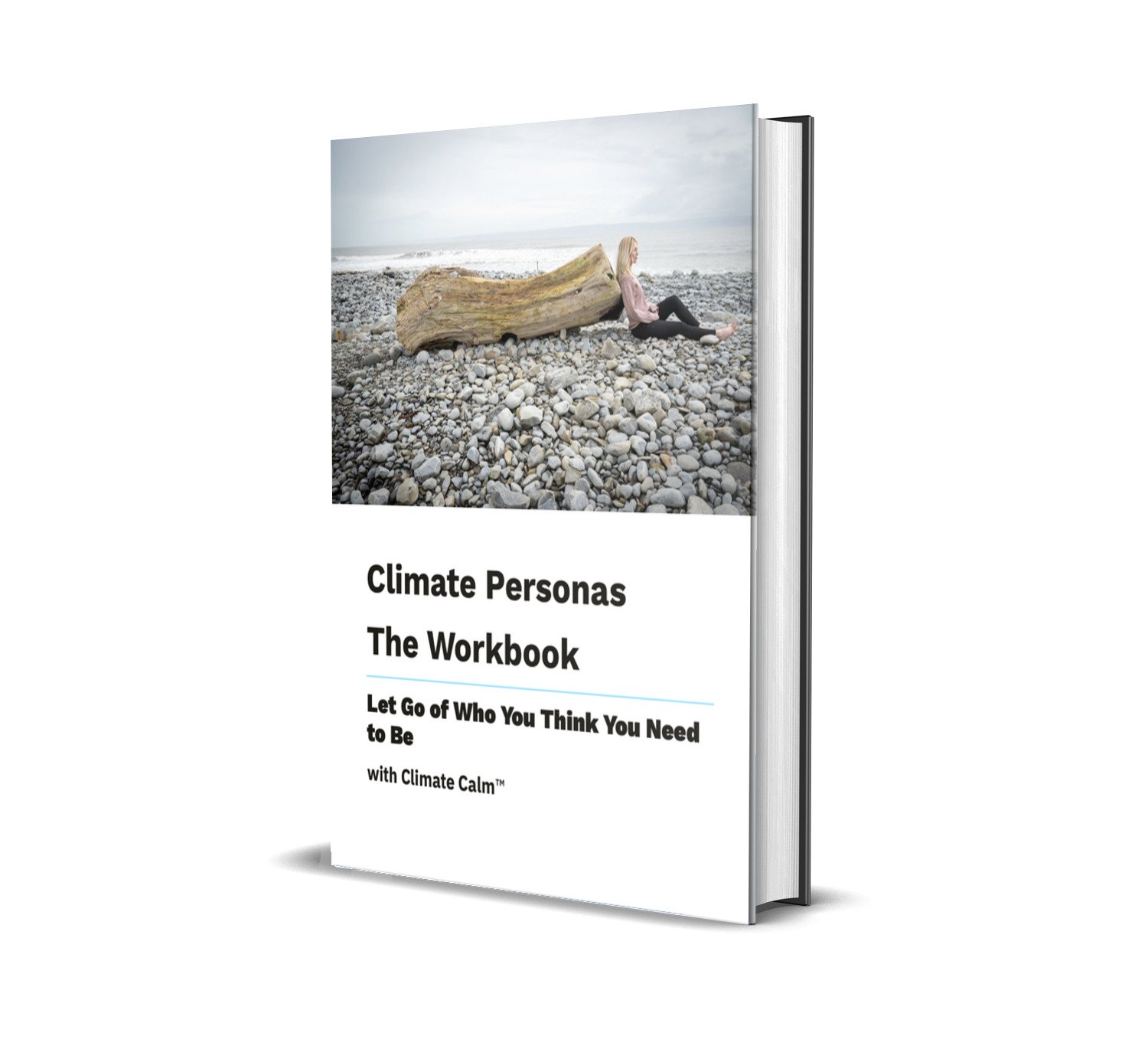 3D Cover Workbook.jpg