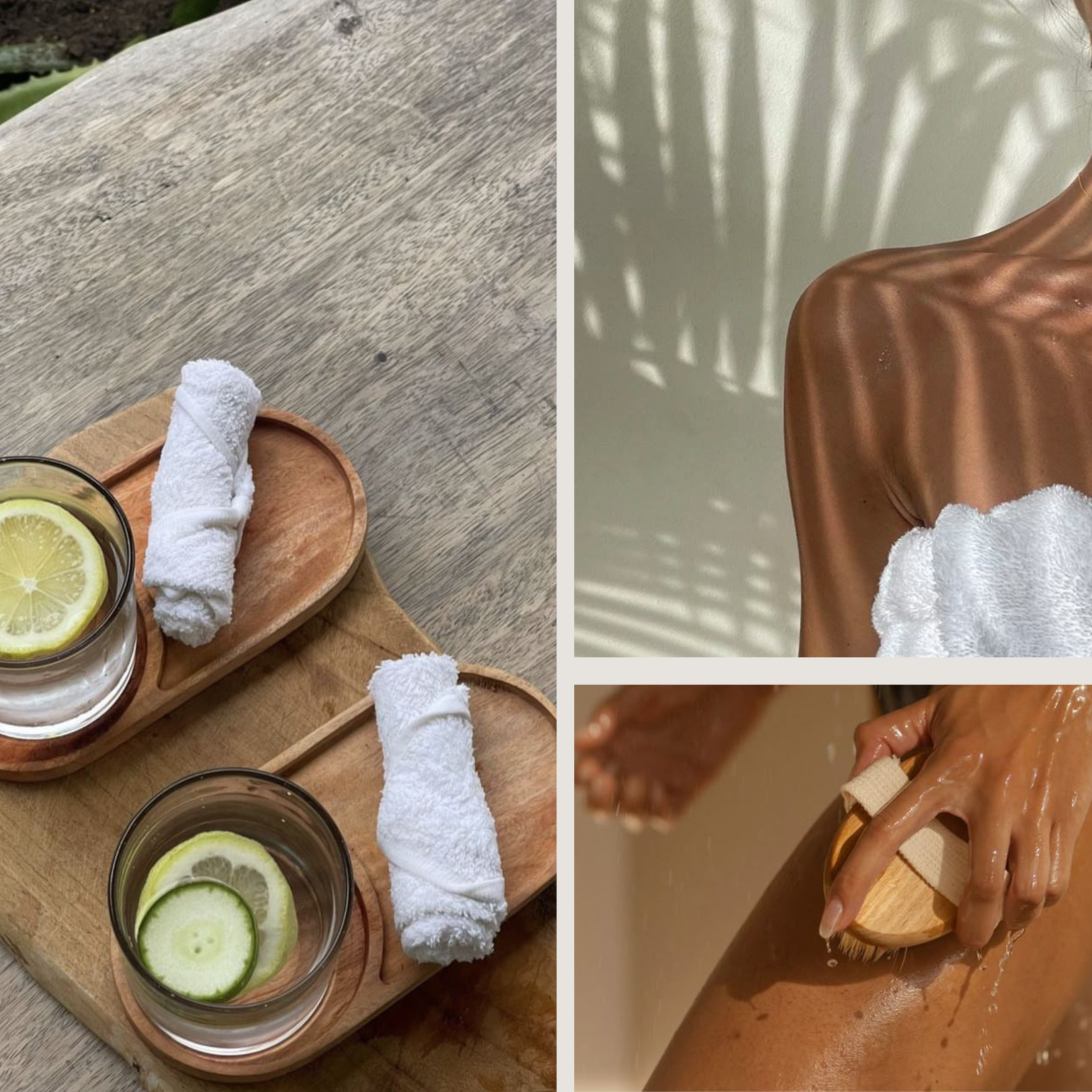 The Lymphatic System