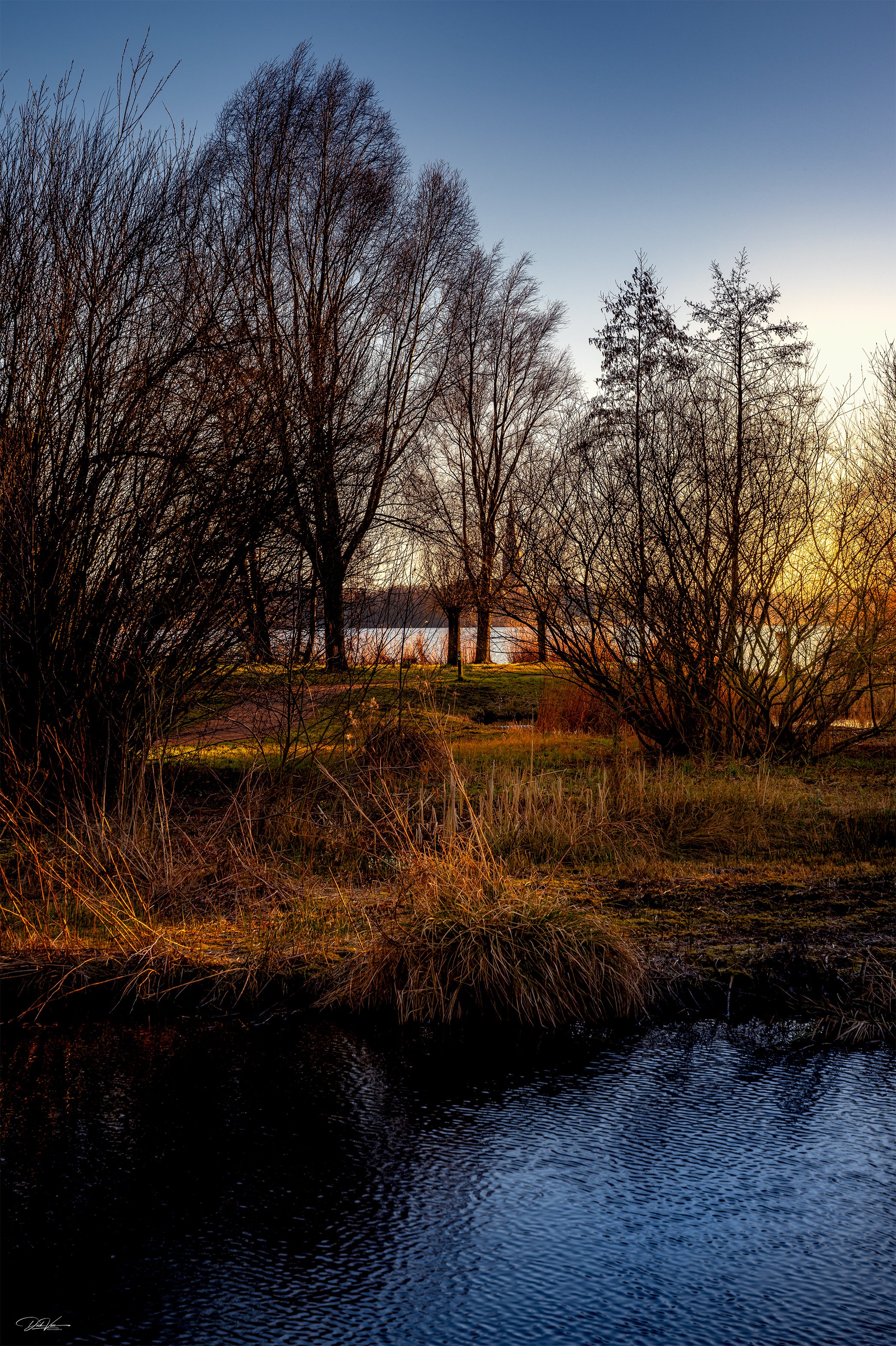 Flusslandschaft mit kahlen Bäumen im Sonnenuntergang, reflektierendes Wasser, Gräser im Vordergrund.