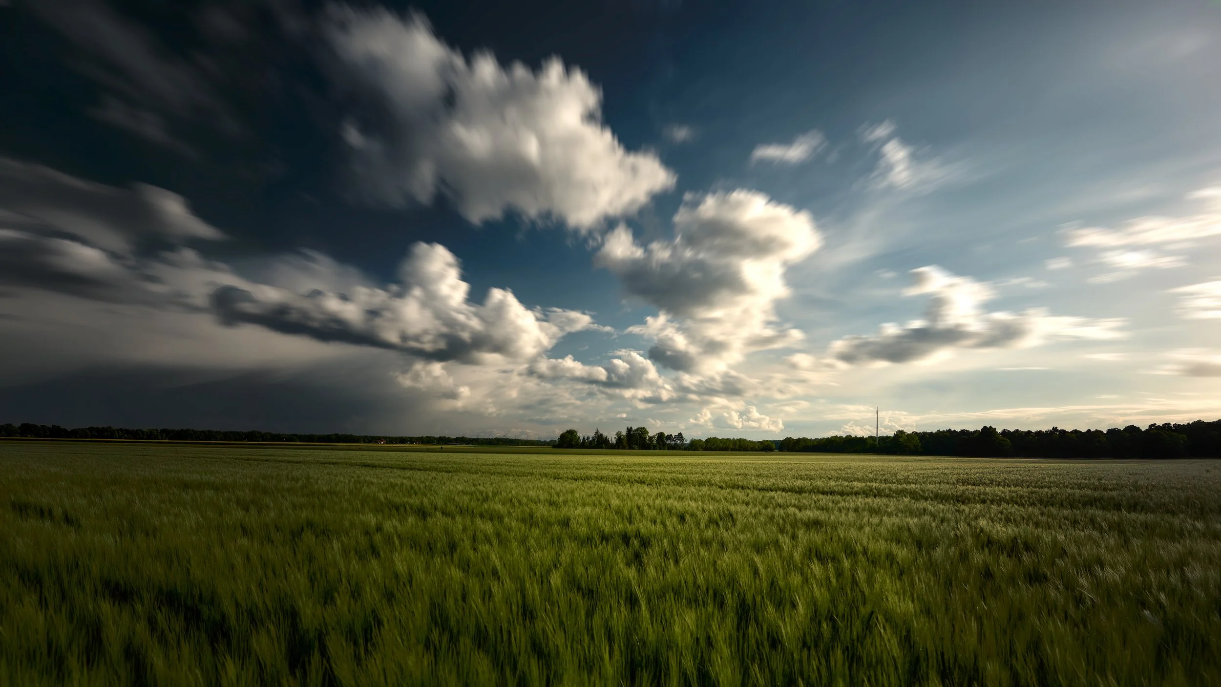 Grünes Feld bei Sonnenuntergang mit dunklen Wolken am Himmel.