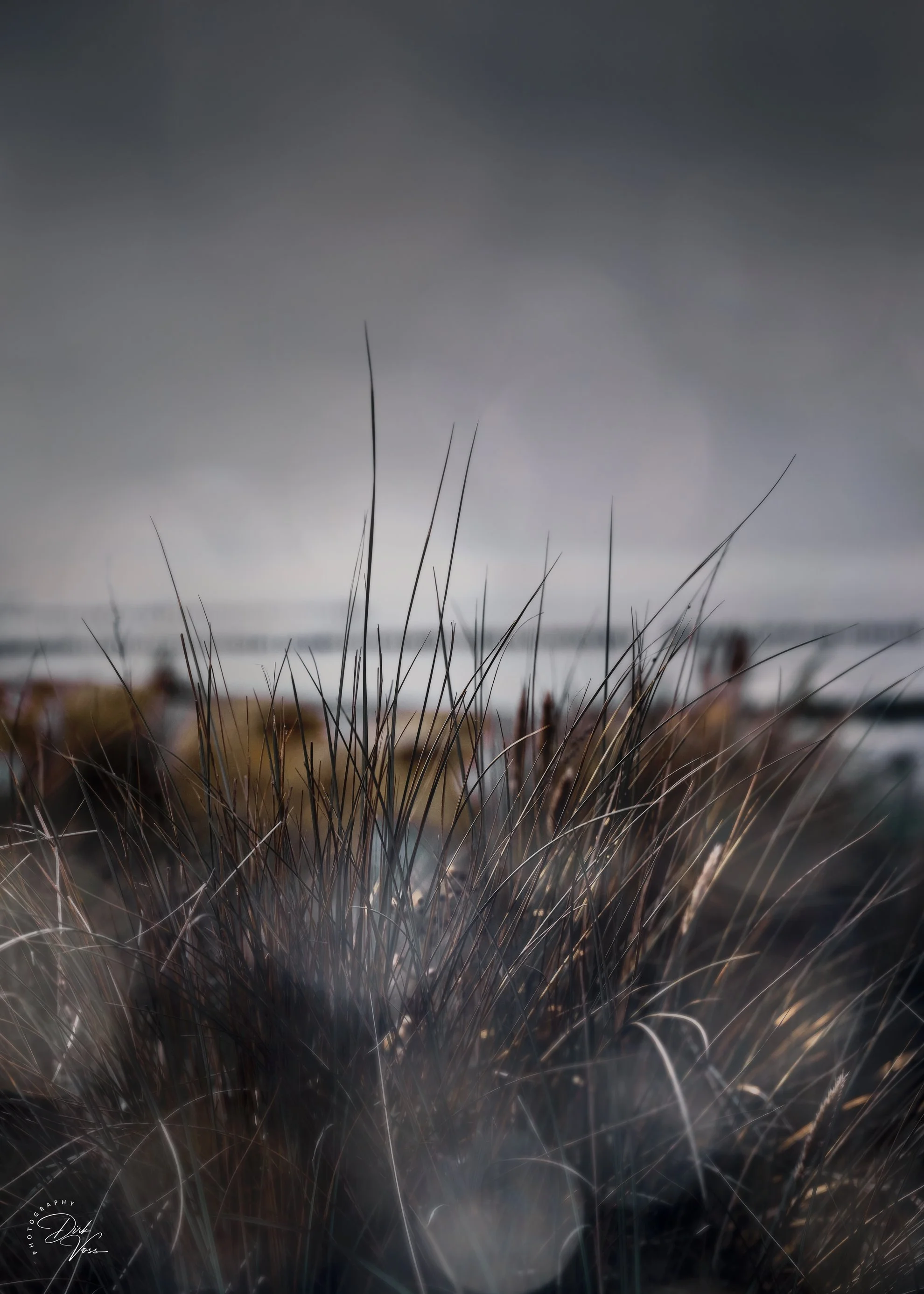 Strand_5-7.jpg