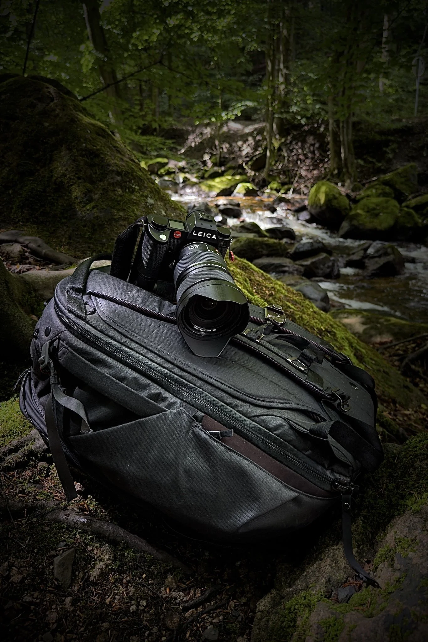 Eine Kamera liegt auf einem schwarzen Rucksack in einem grünen, bewaldeten Flussgebiet.