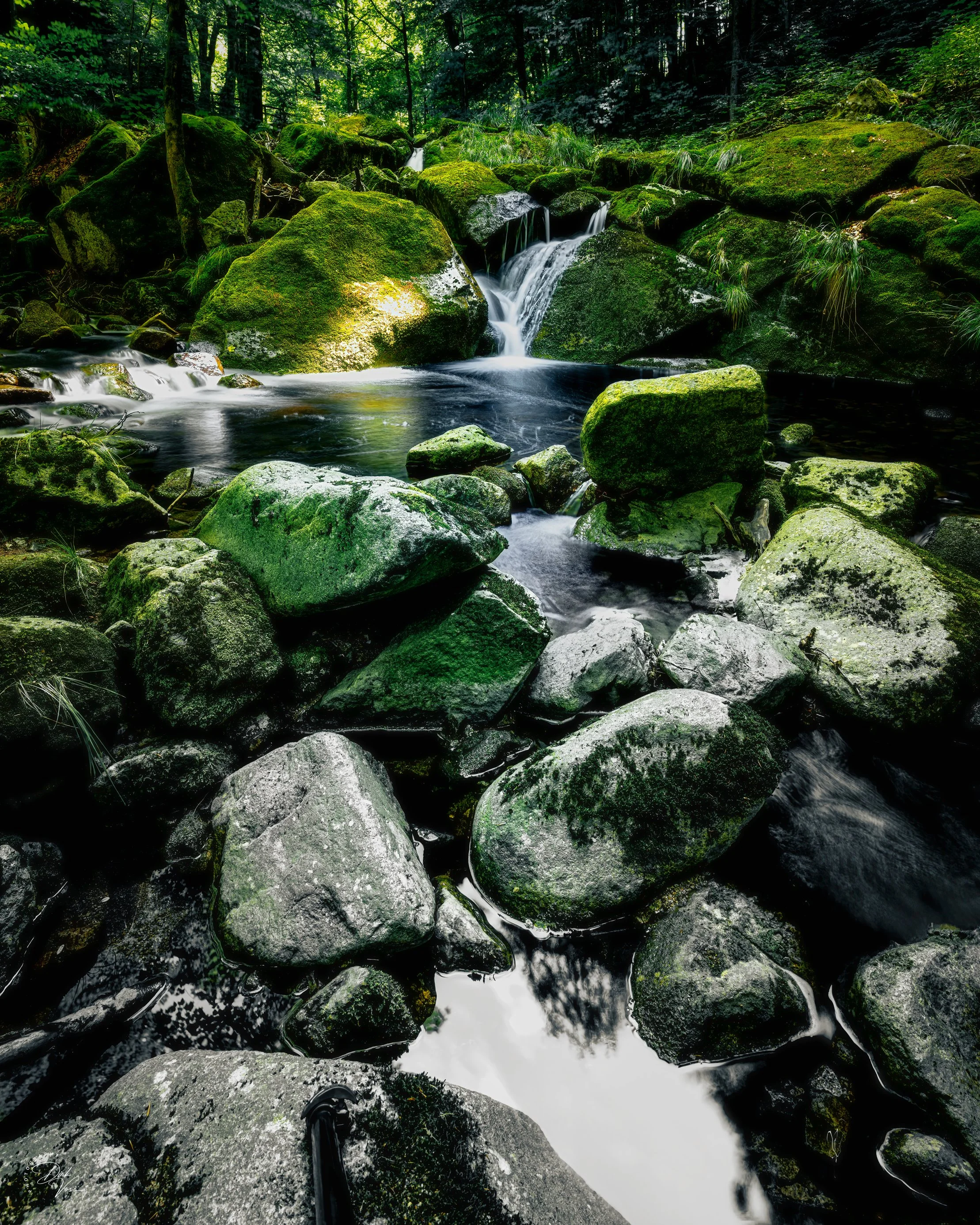 Nature Pure 