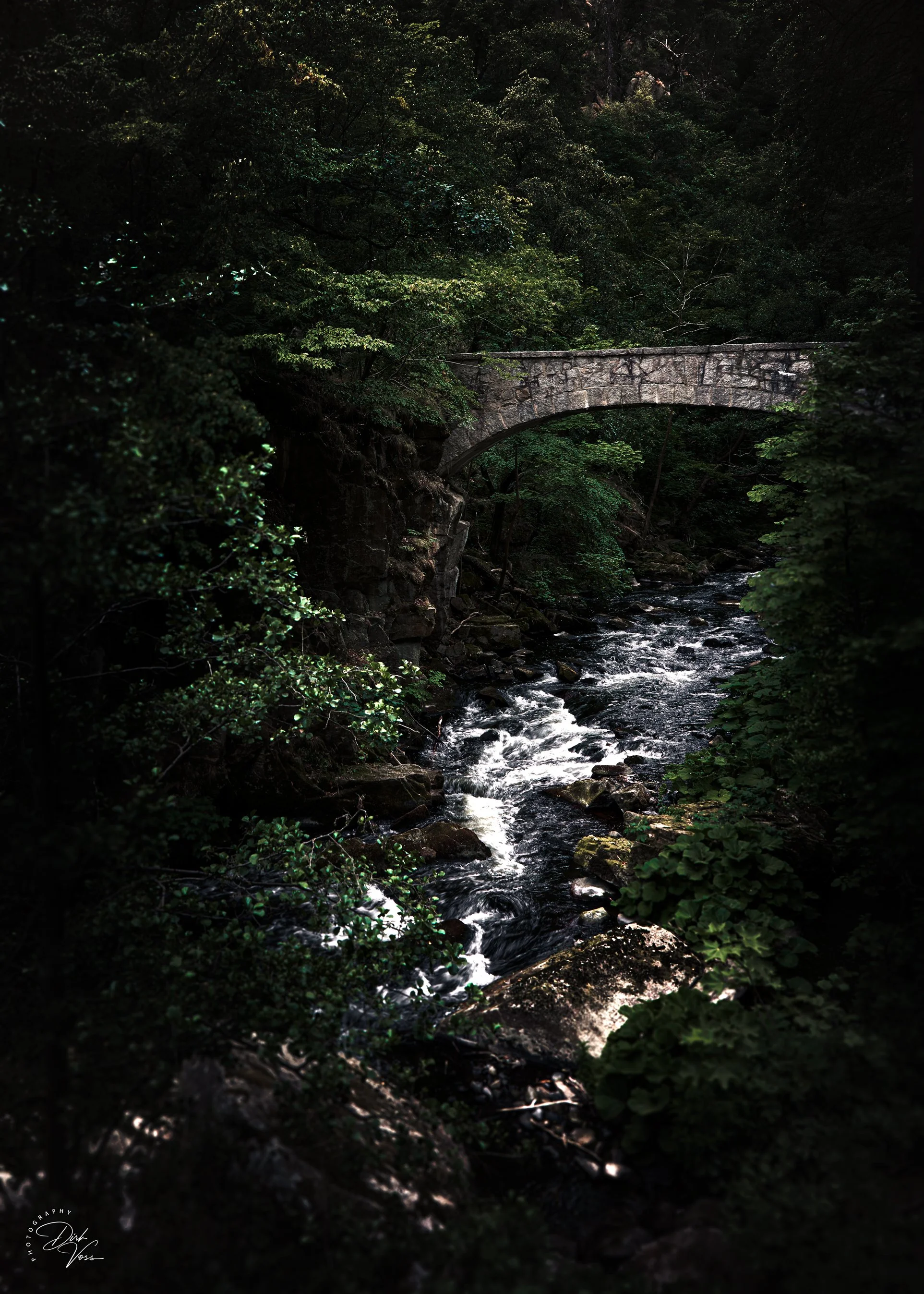 Harz_Brücke_5-7.jpg