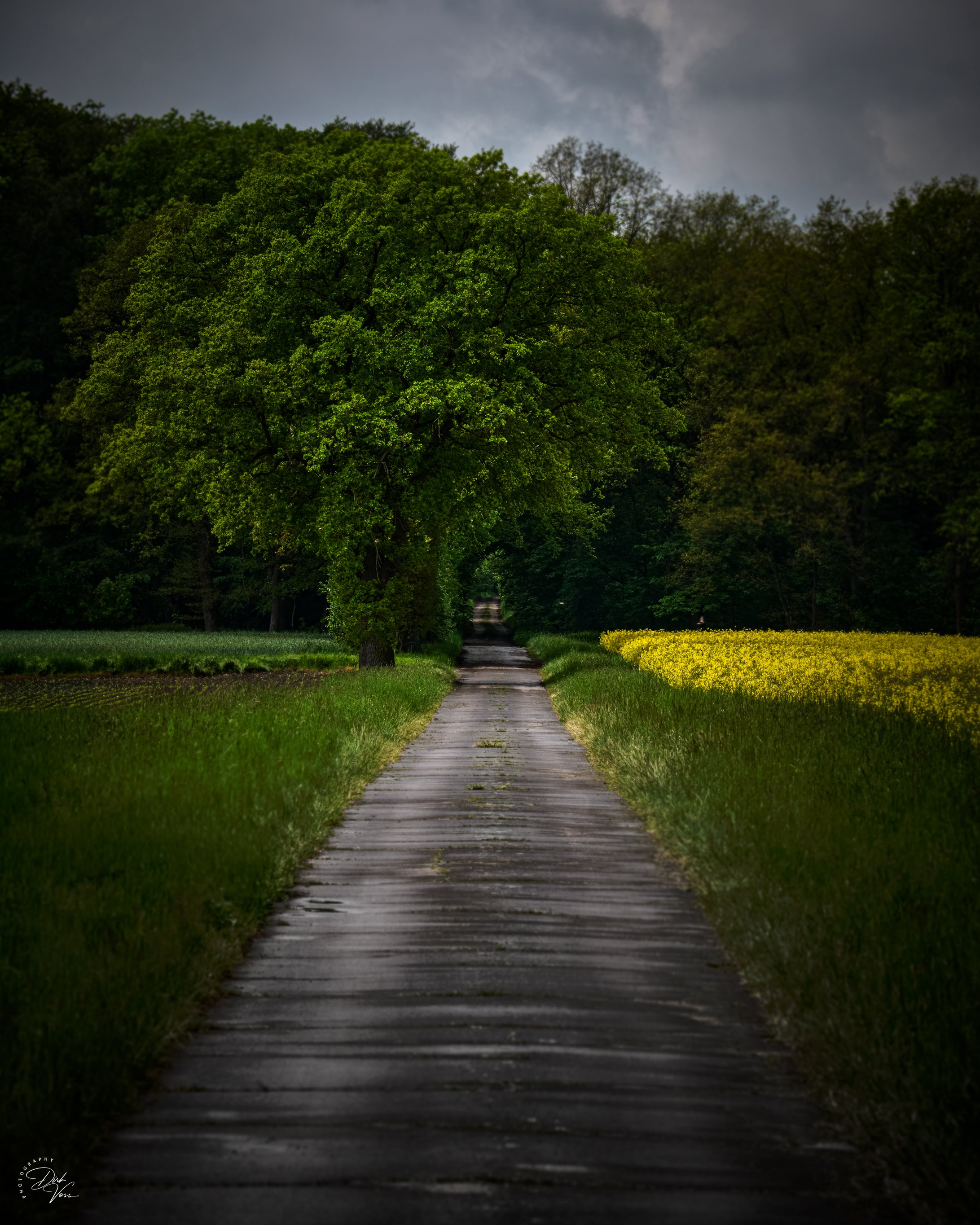 Follow your way