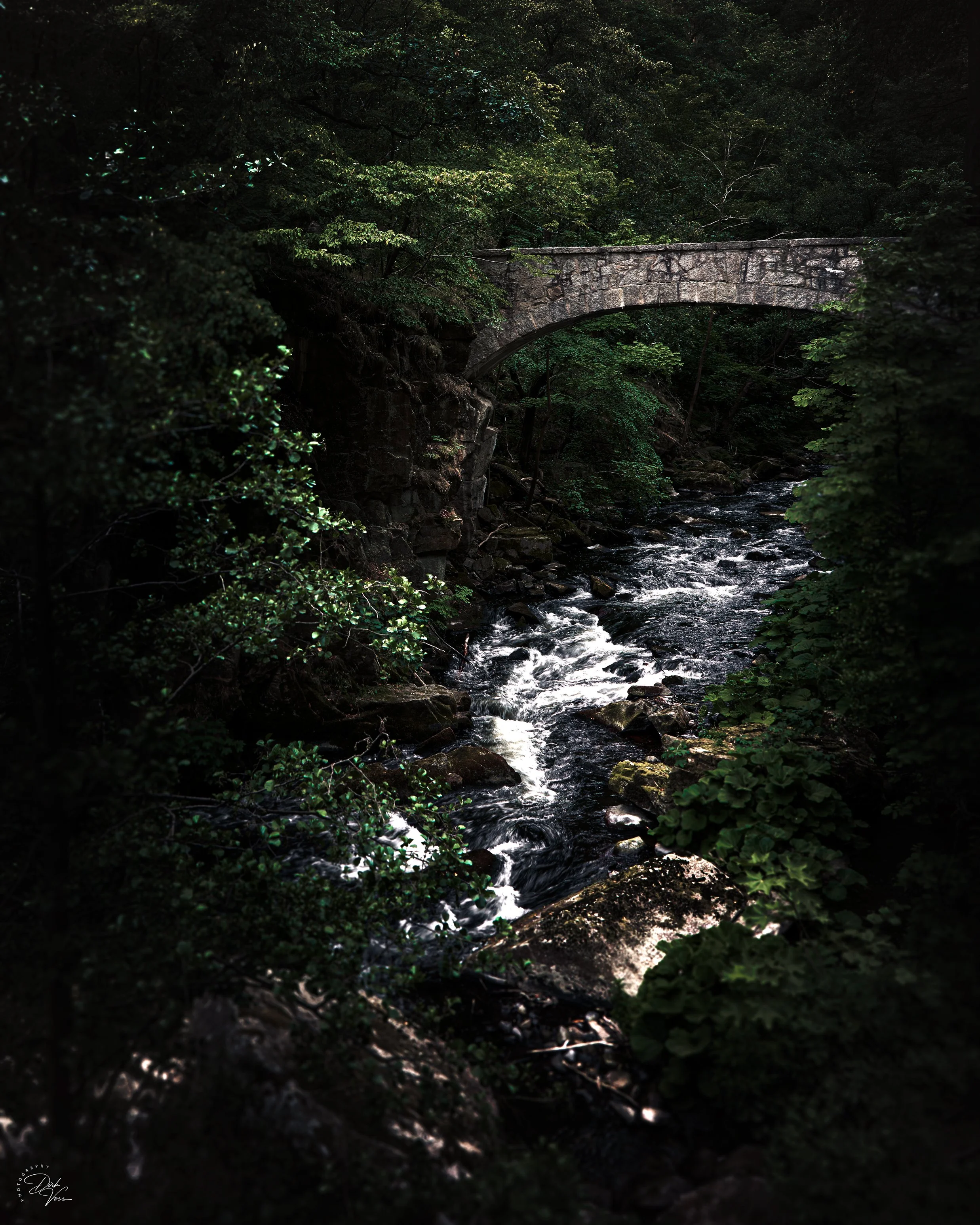 Natur Pur