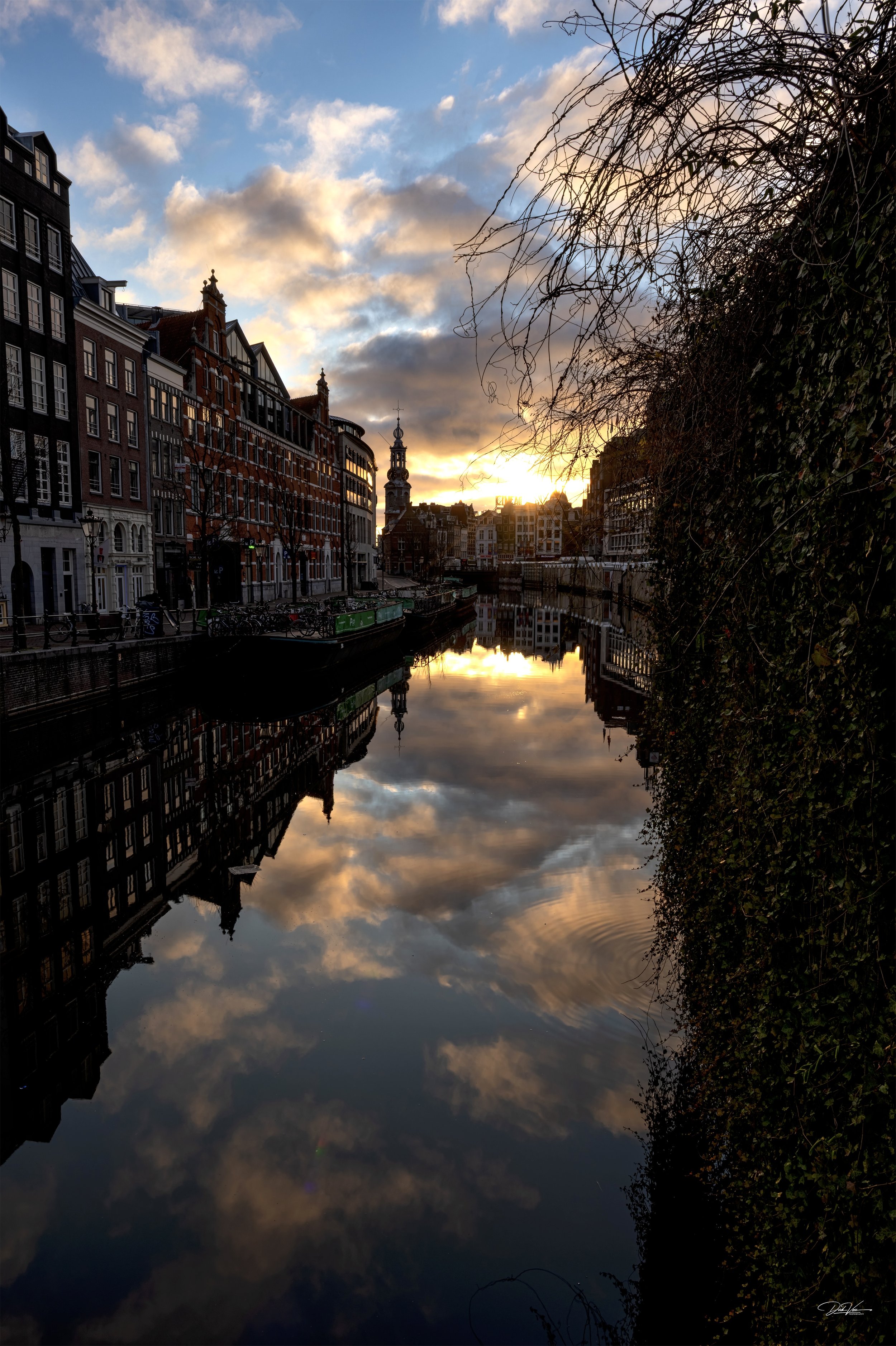 Sunrise at the Flower Markt Amsterdam