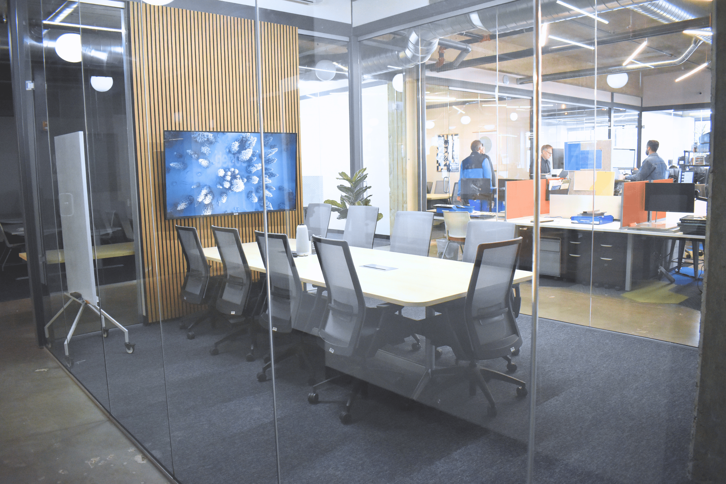 New Phyllis Pic 1.png