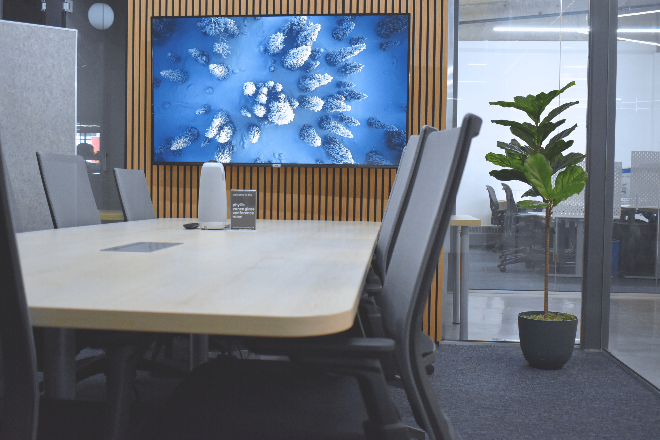 New Phyllis Pic 5.png