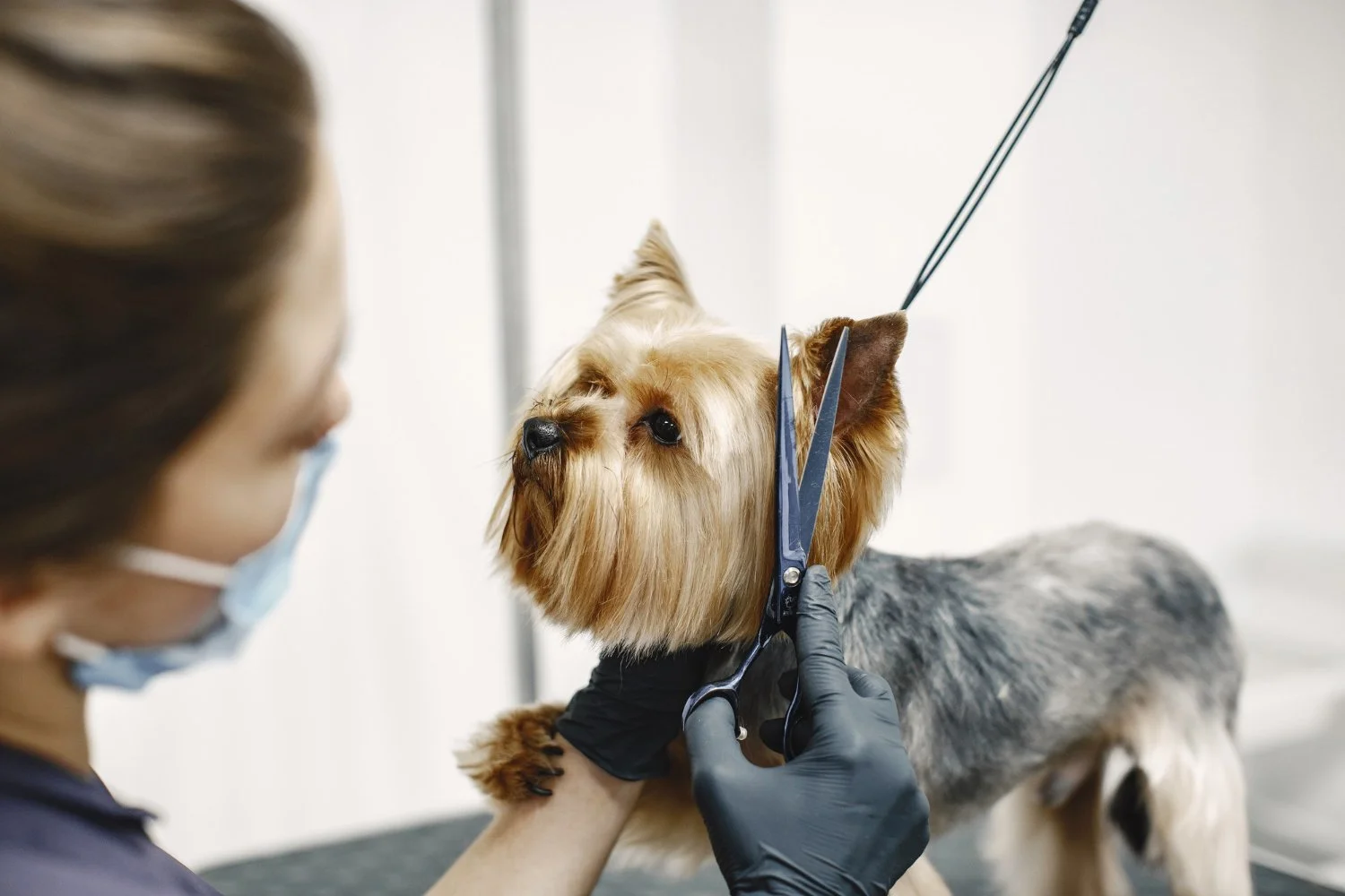 Why Safe Grooming Starts with Good Habits