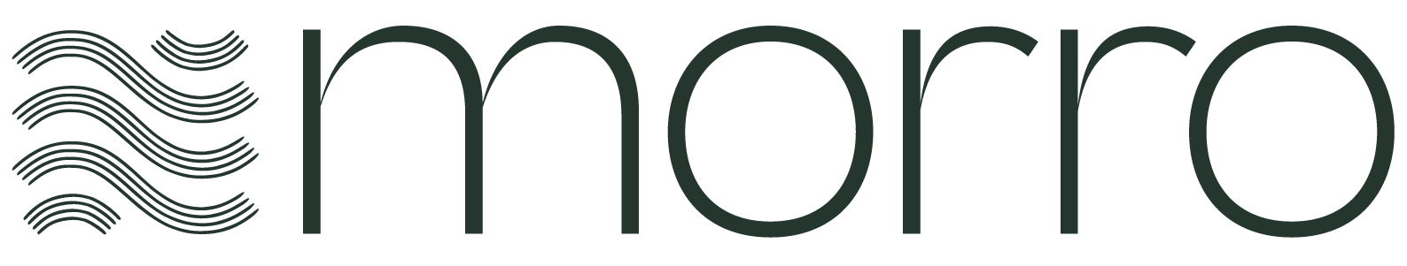Logo with wavy lines and the word 'moro' in lowercase, modern font
