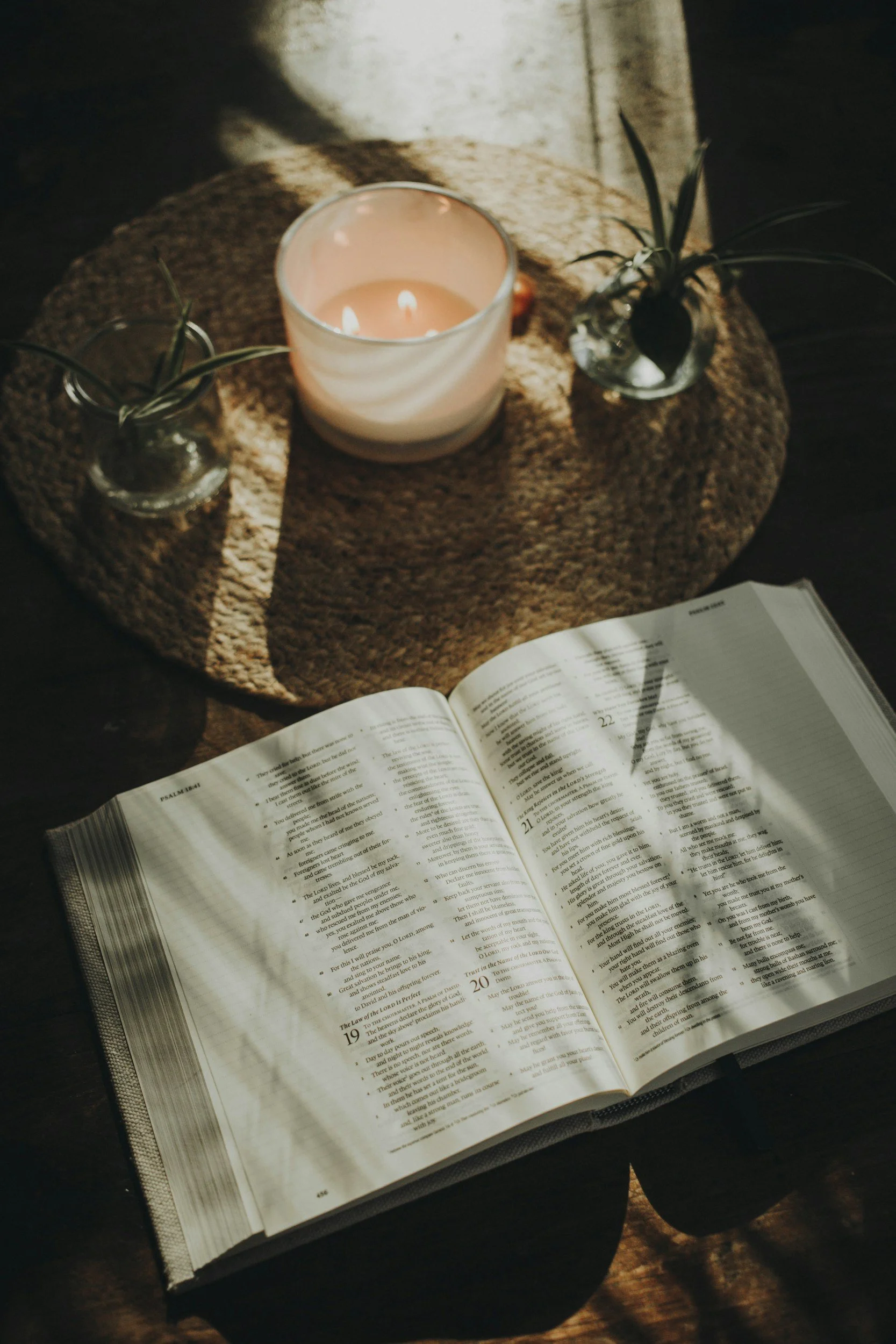 Somatic Scribes