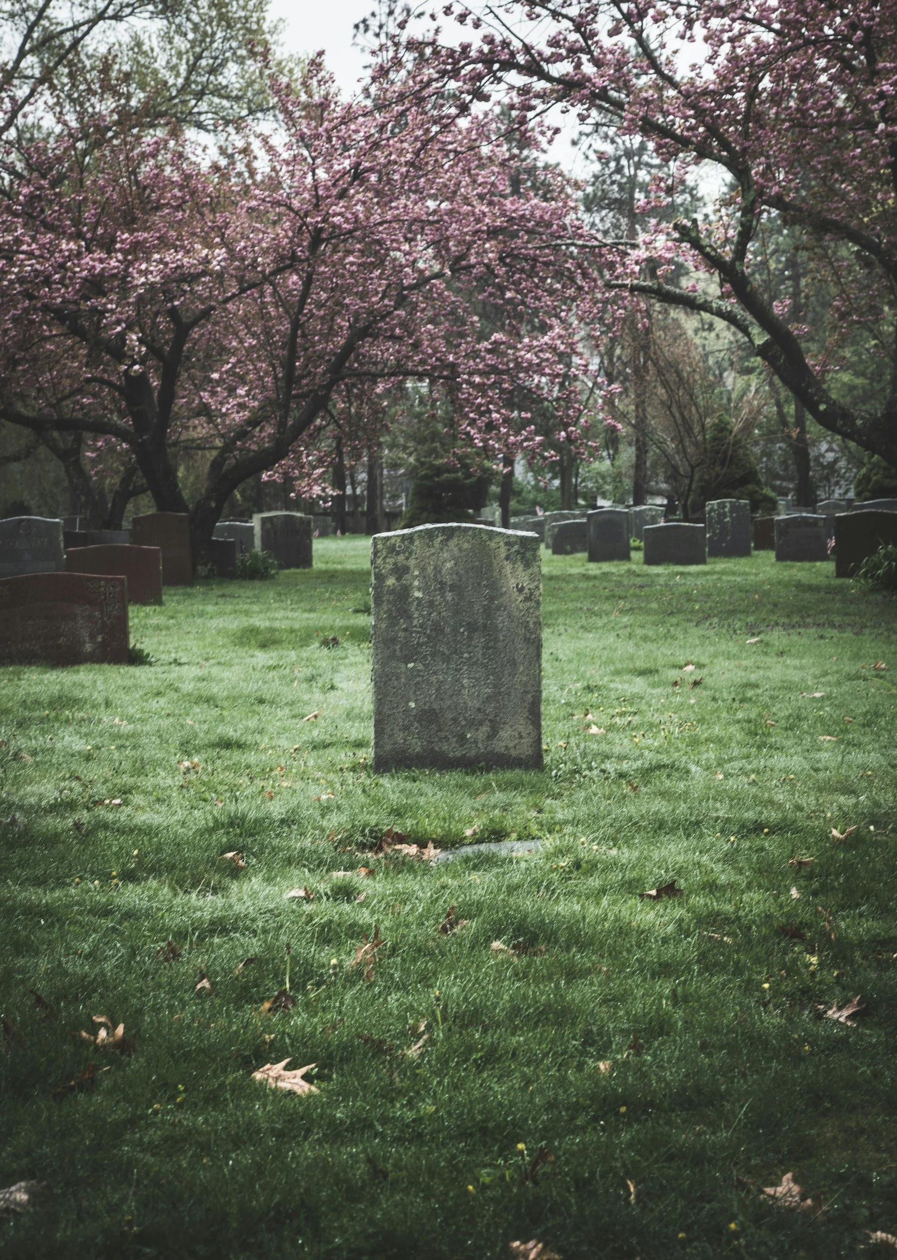 Writing - in the Cemetery