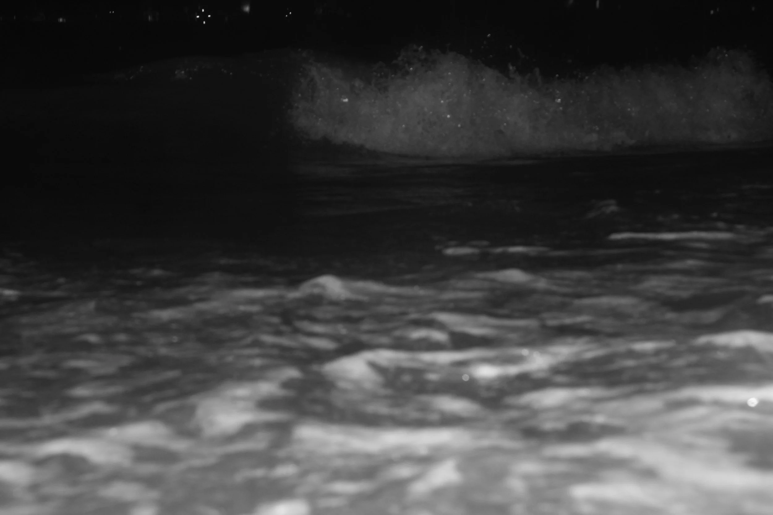 IMG_9368.JPG