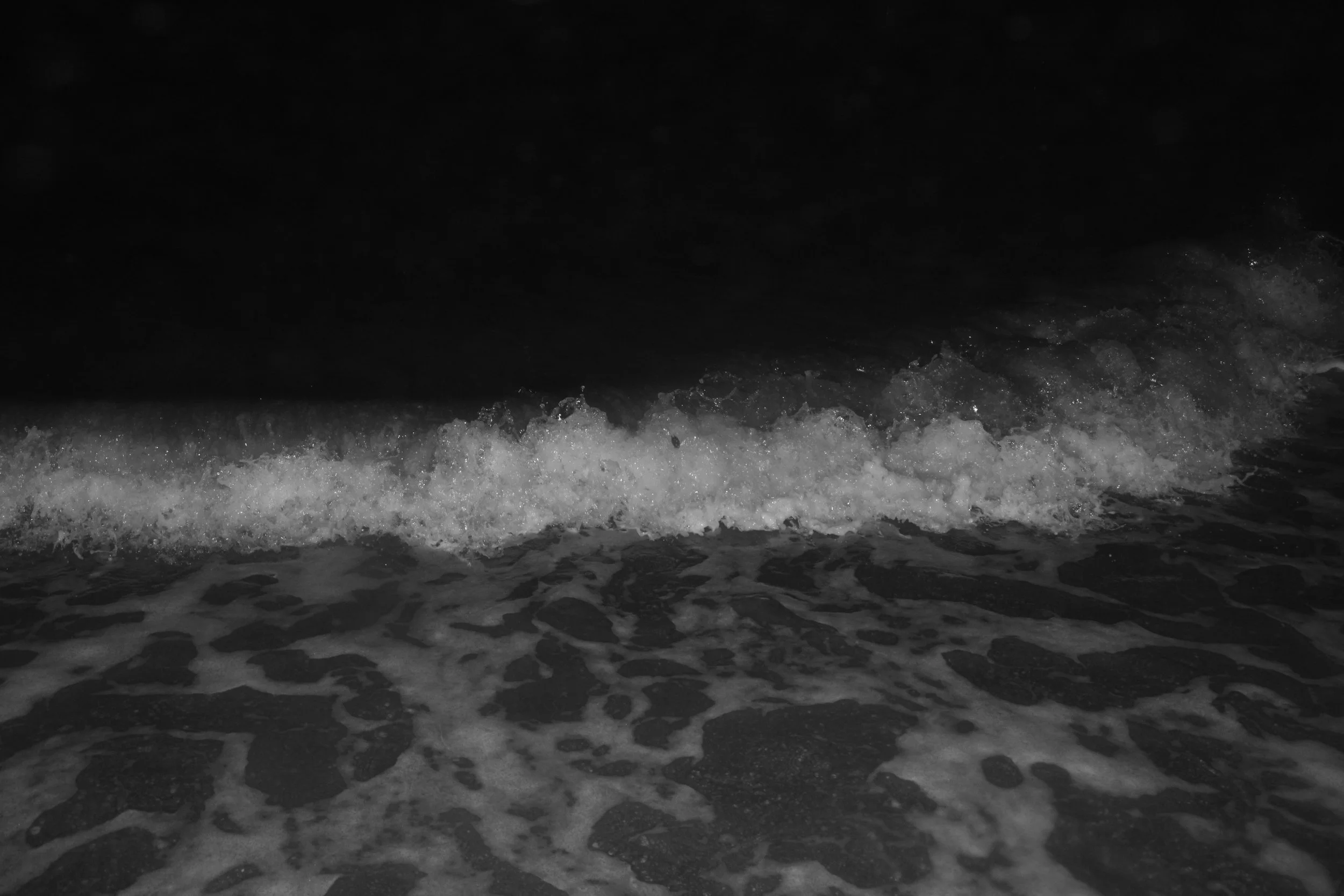 IMG_9378.JPG