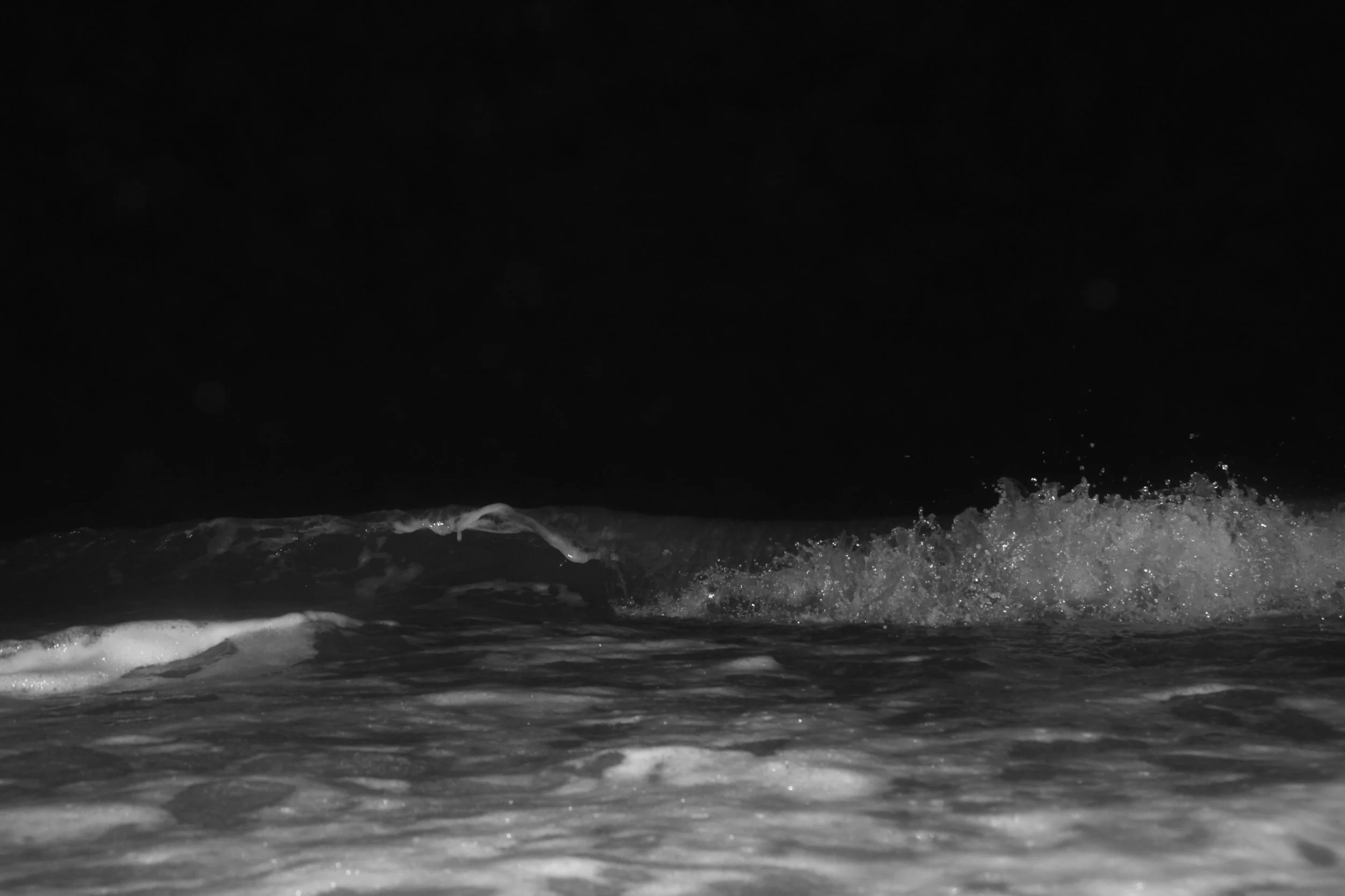 IMG_9386.JPG