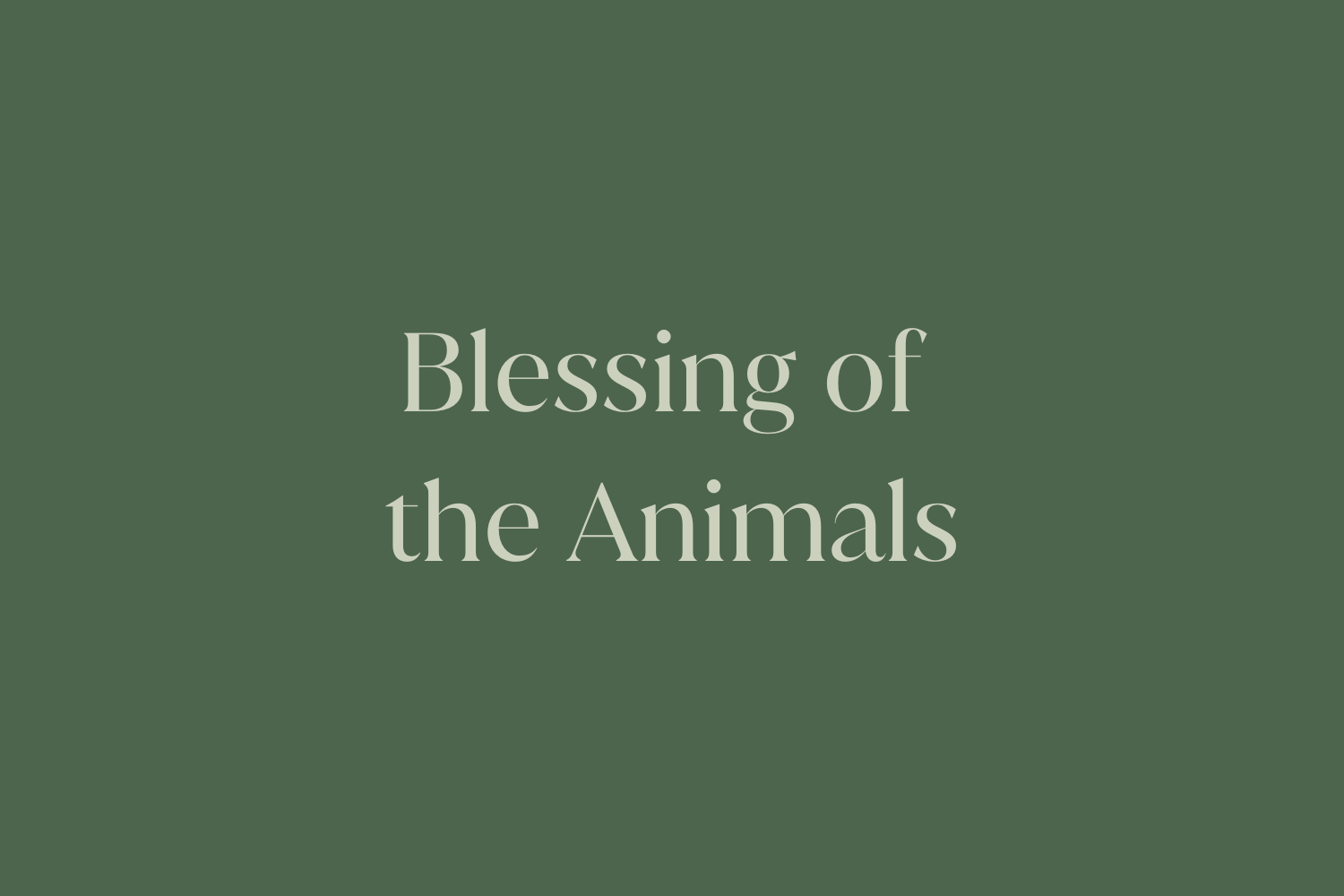Blessing of the Animals