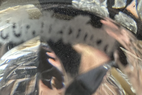 Screenshot 2026-02-17 at 2.18.43 PM.png