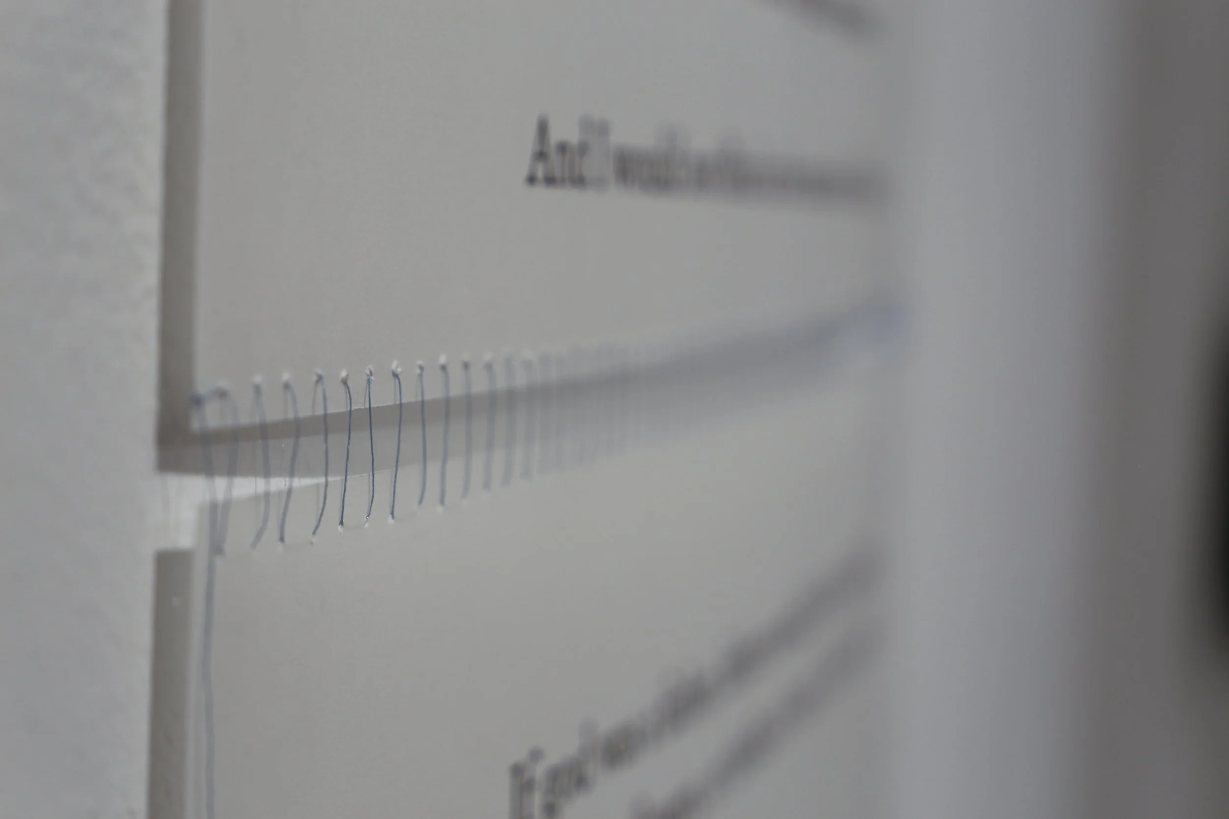 DagnyGradShow-02.jpg