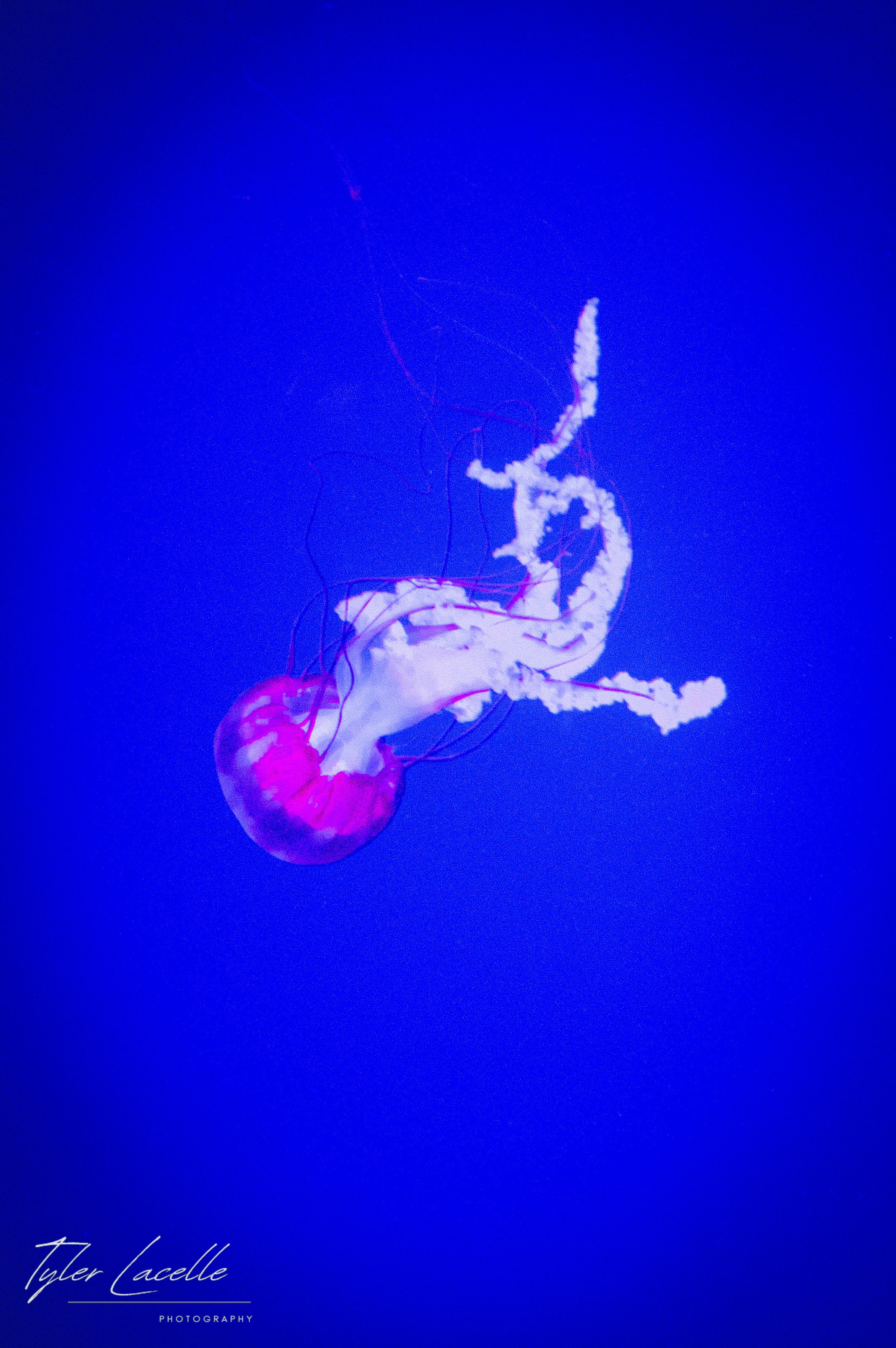 _0037009.jpg
