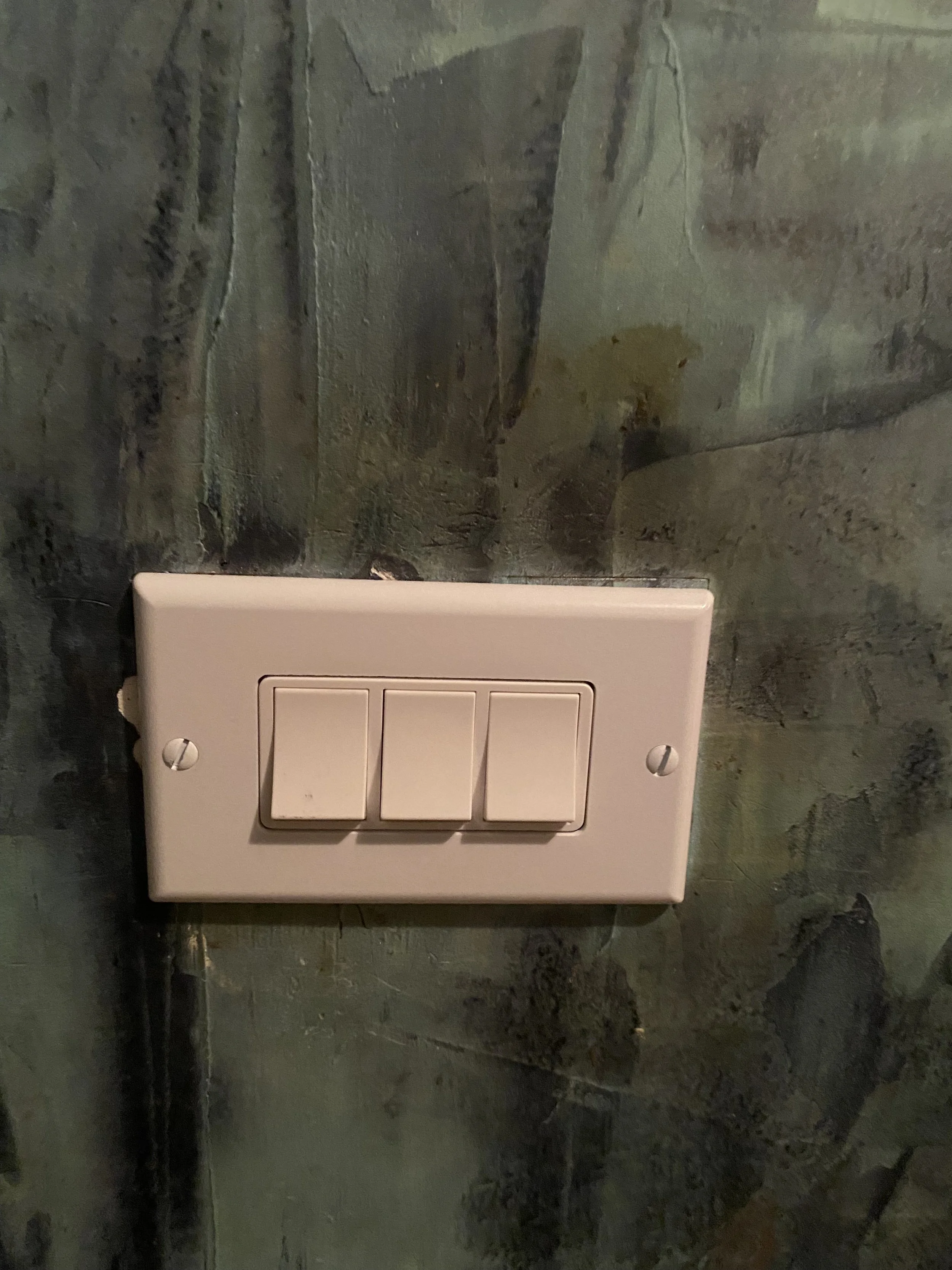 Light Switch Project Complete.jpg