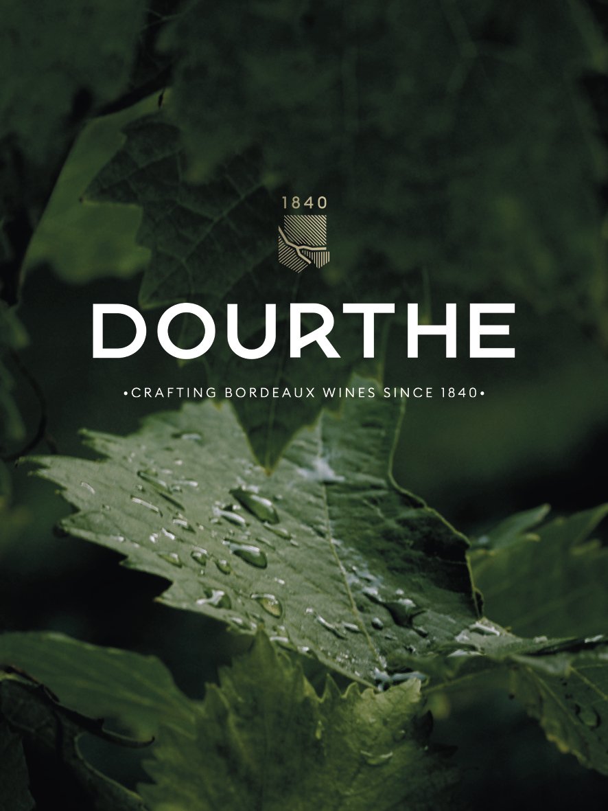 Dourthe Wine