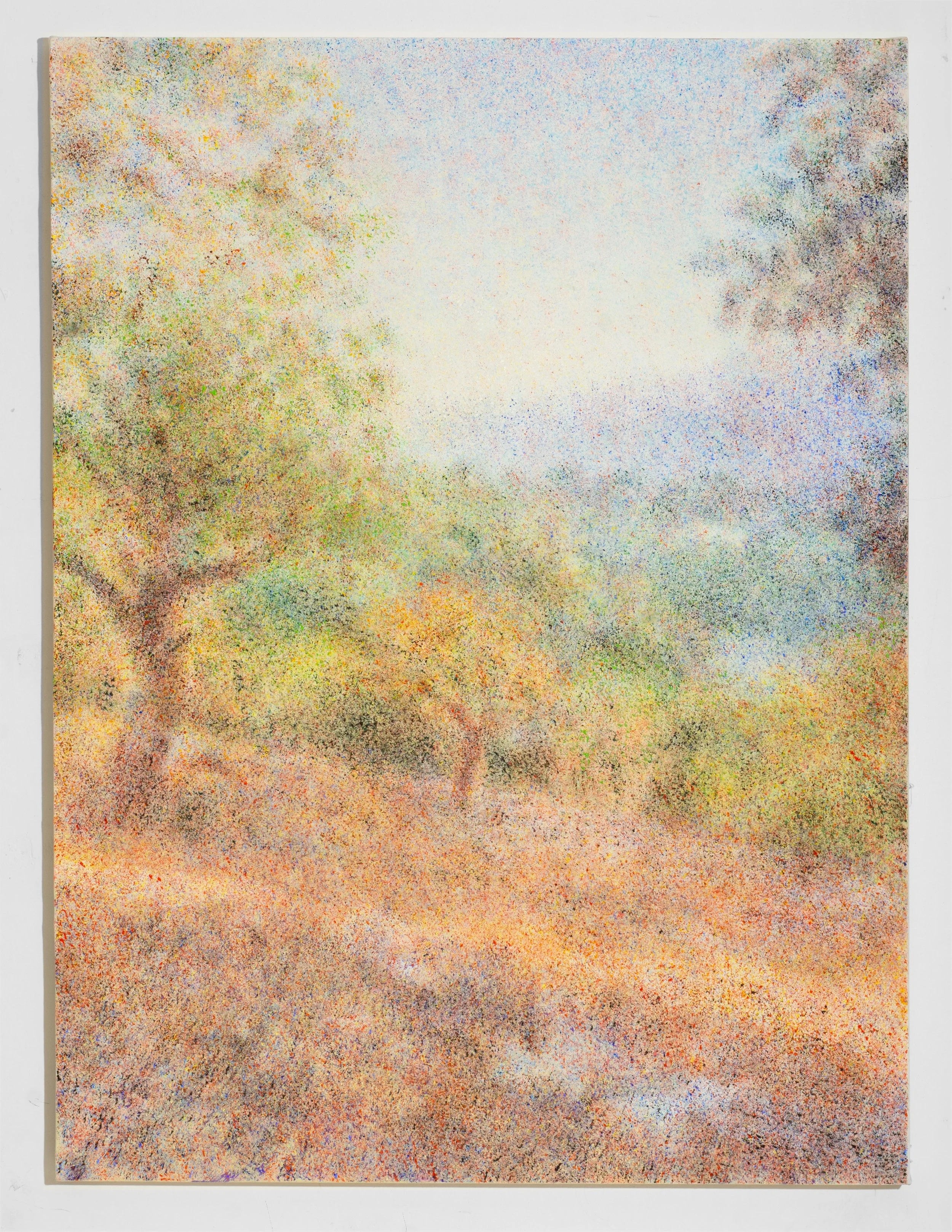The Carmel Mountain Full.jpg