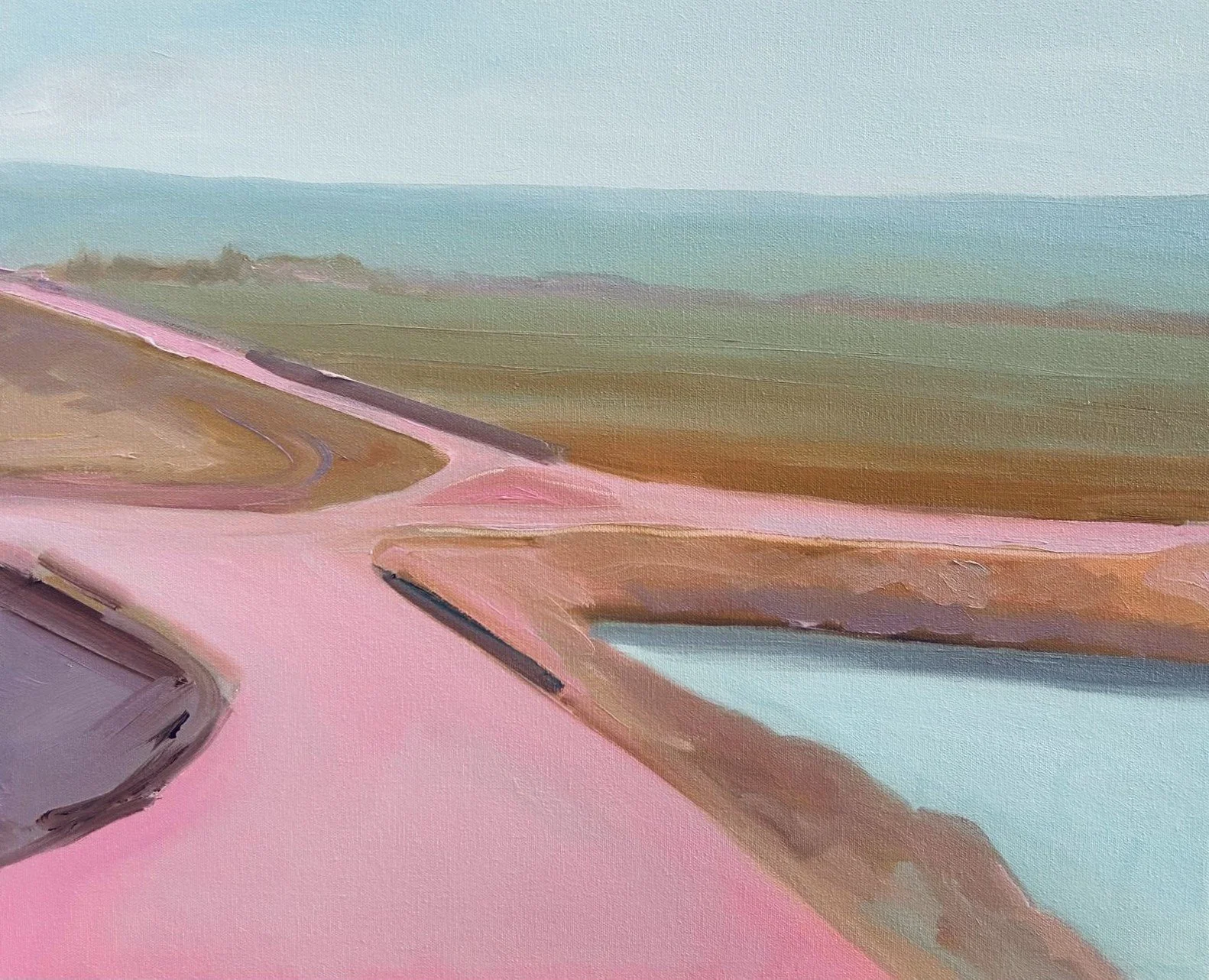 CINTRA_Pink Swamp Land .jpg