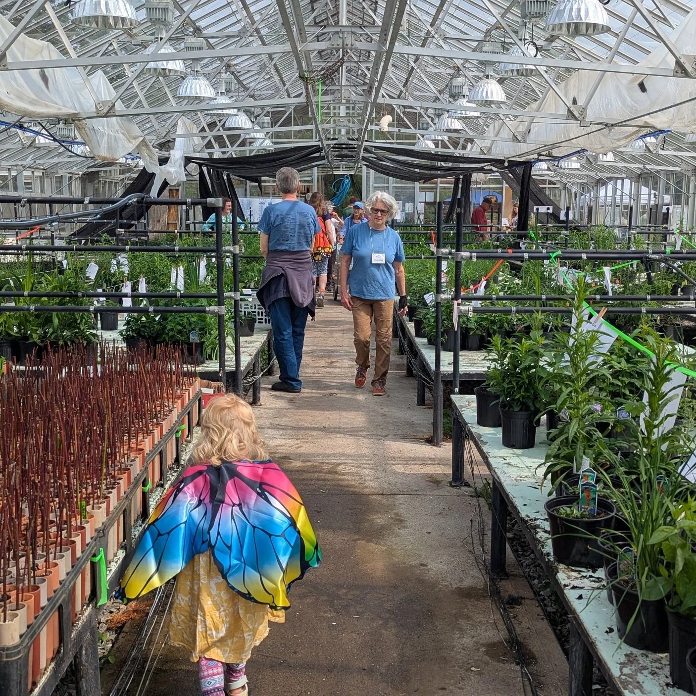 Human+Butterflies+in+Greenhouse+AA+Poll+Fest+2025.jpg