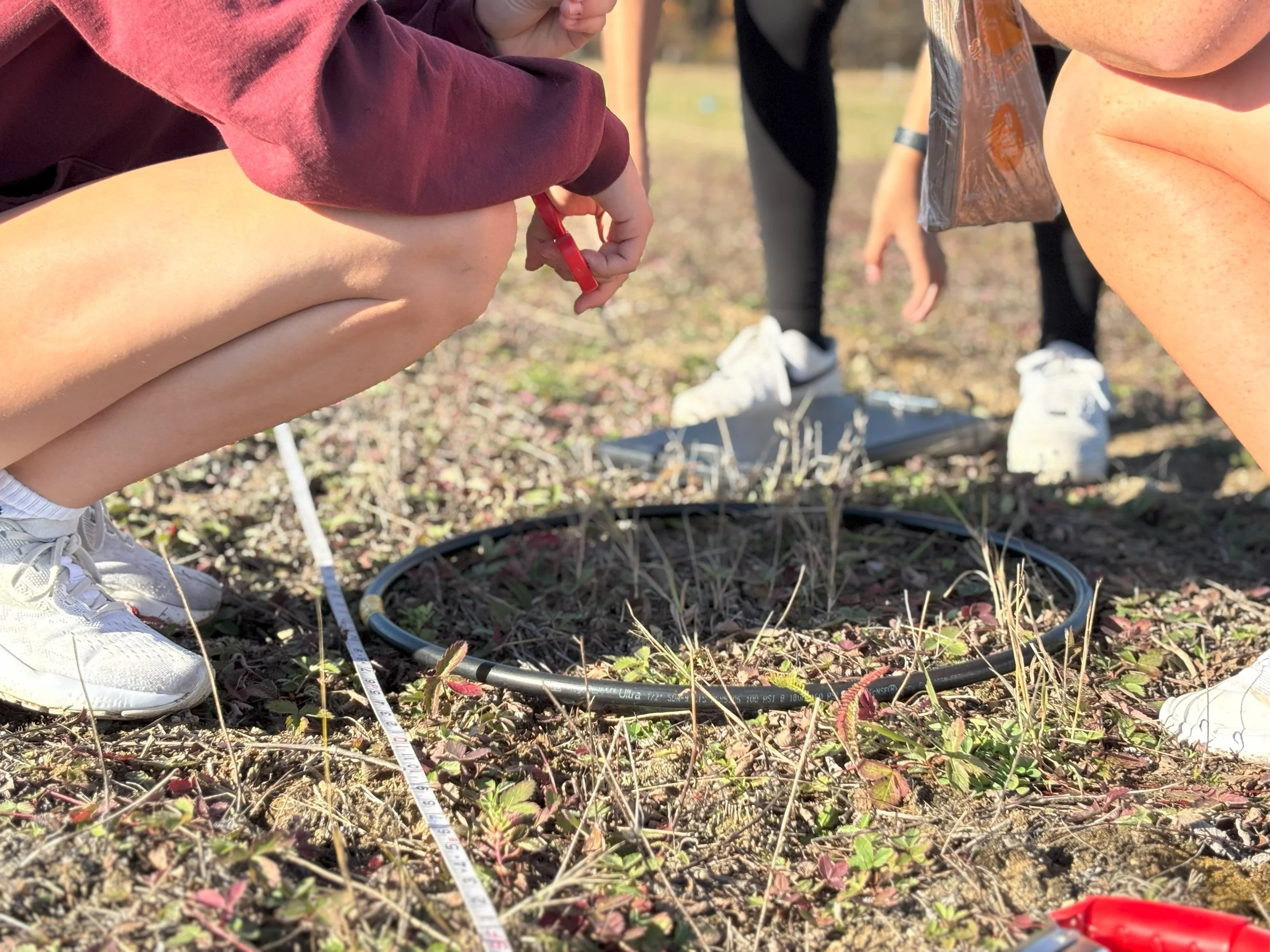 4. Field Plant Survey.jpg