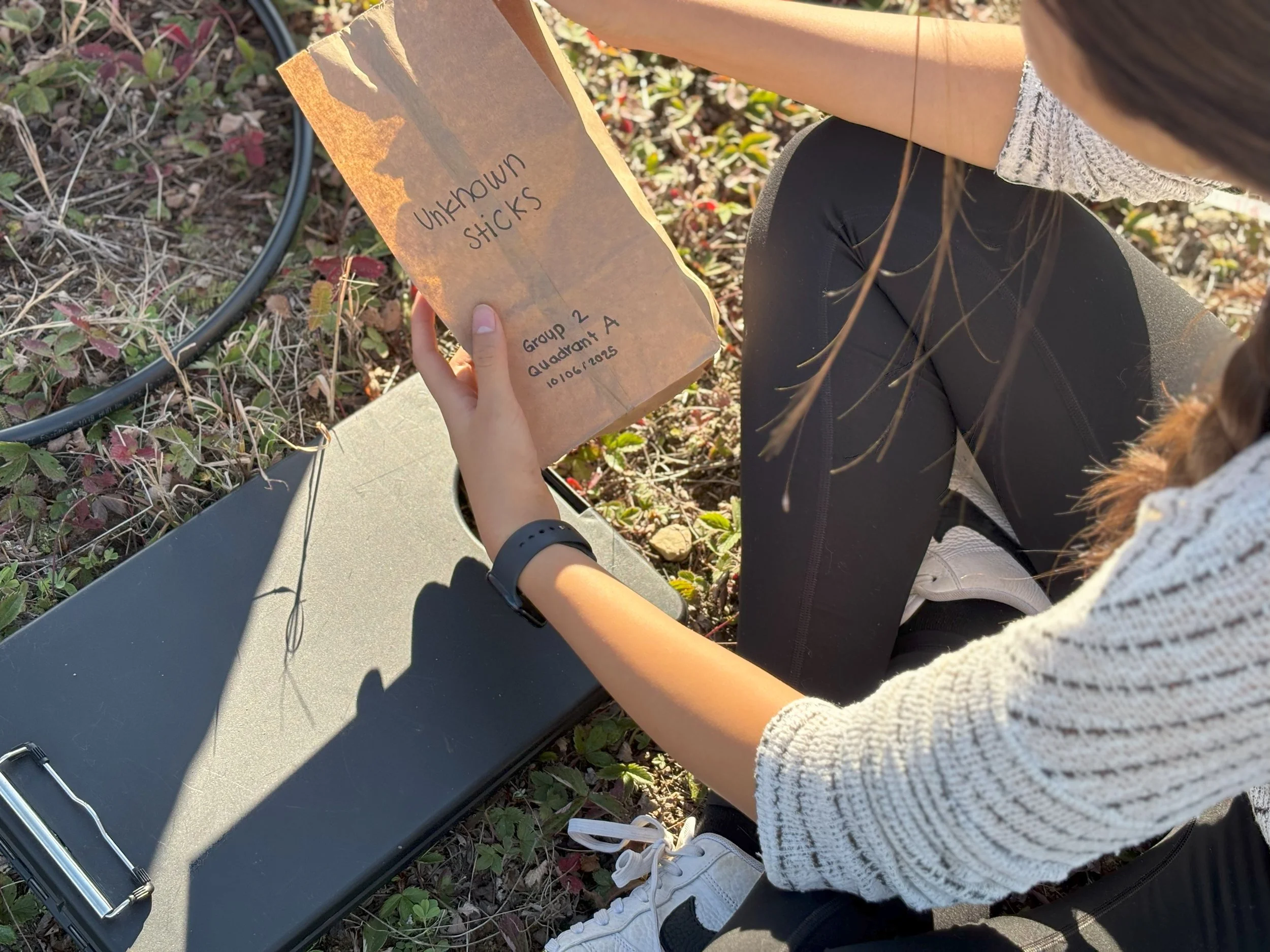 9. Field Plant Survey.jpg