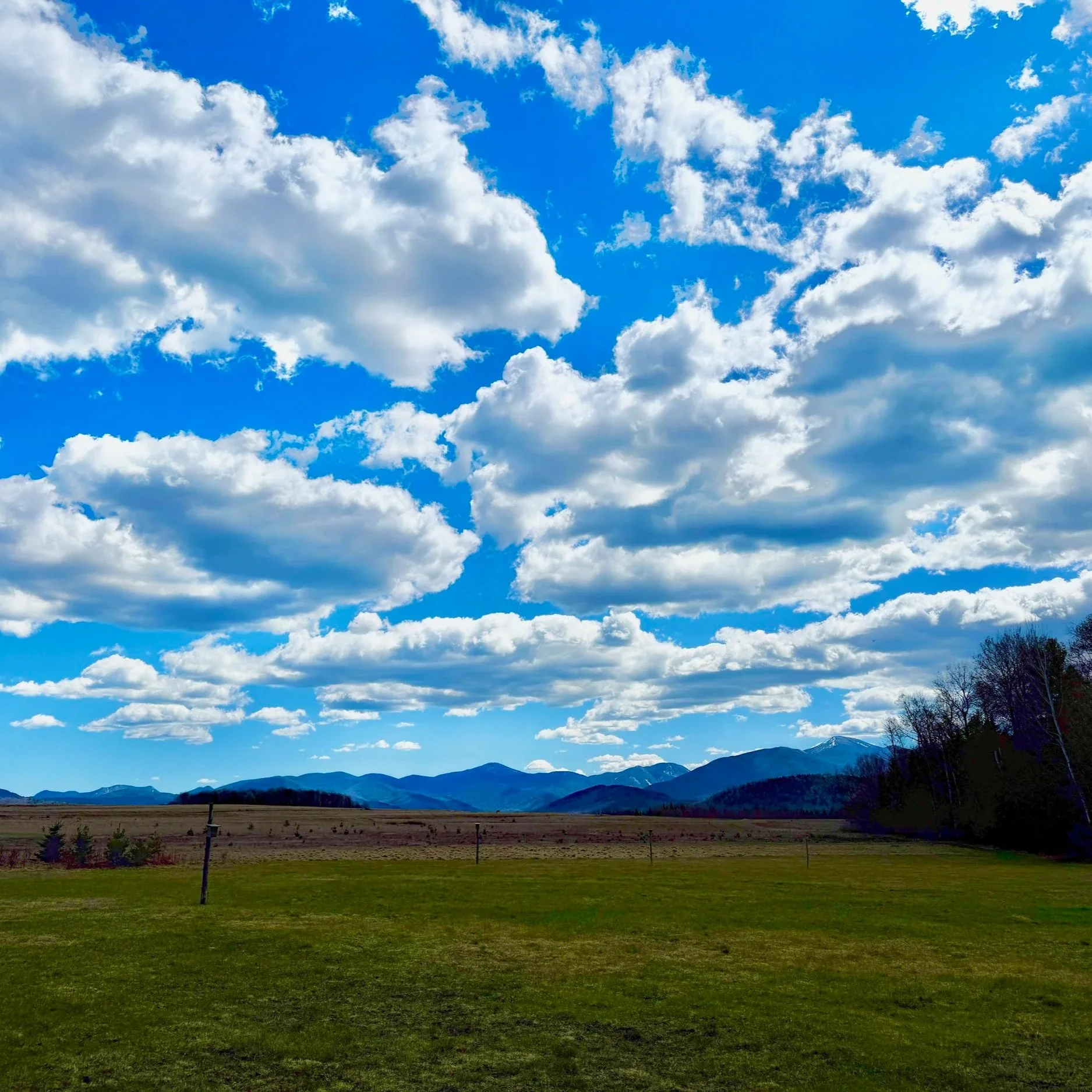 UF+Clouds+summer+26.jpg