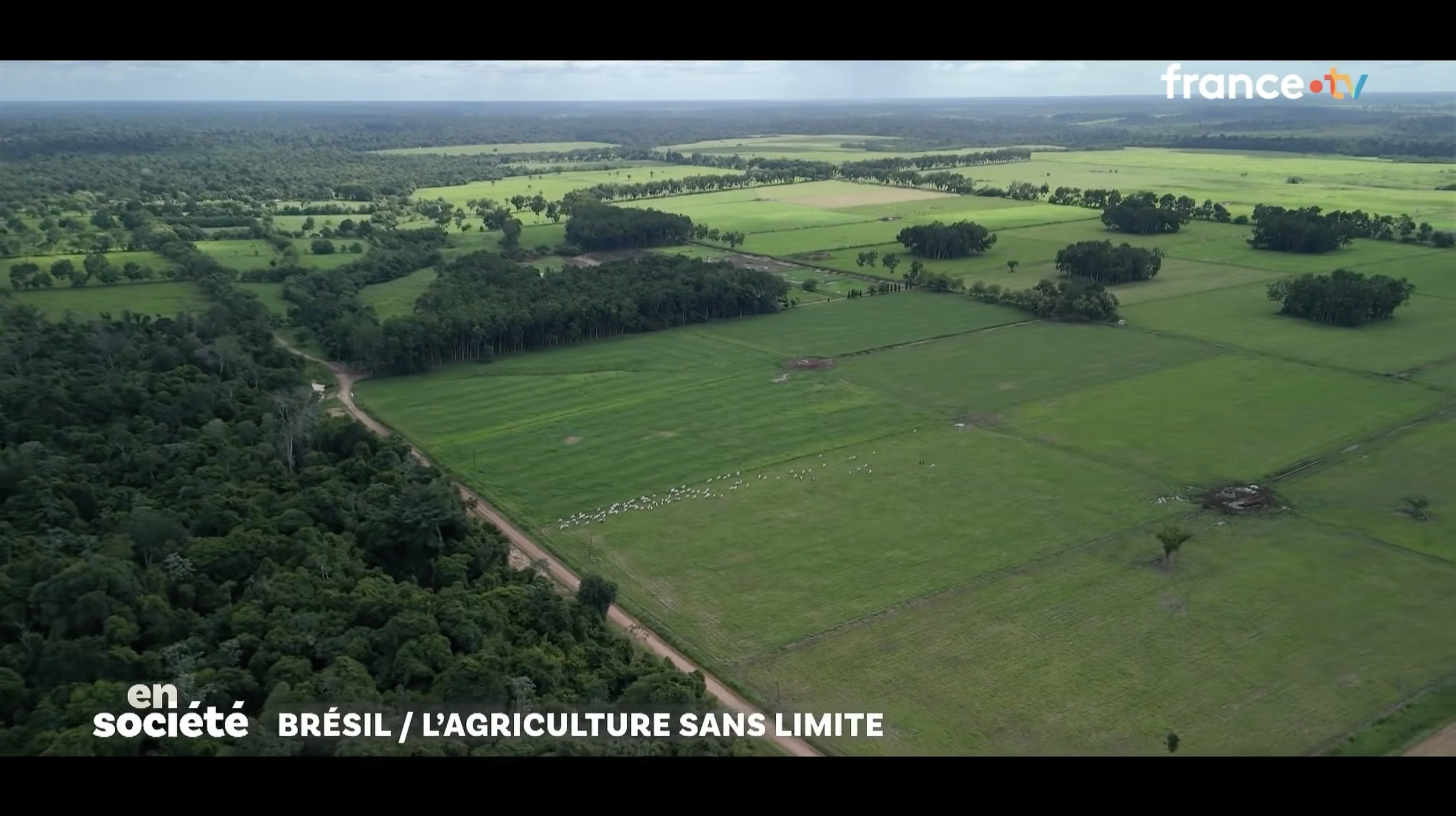 Amazonie : les méga-fermes du Mercosur