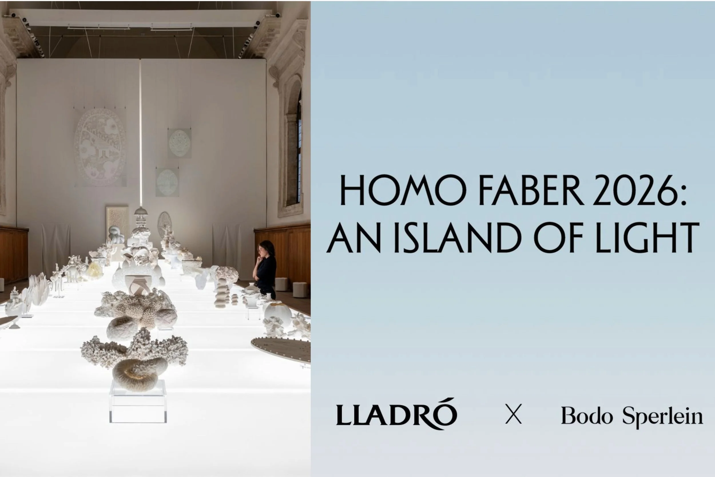 HOMO FABER