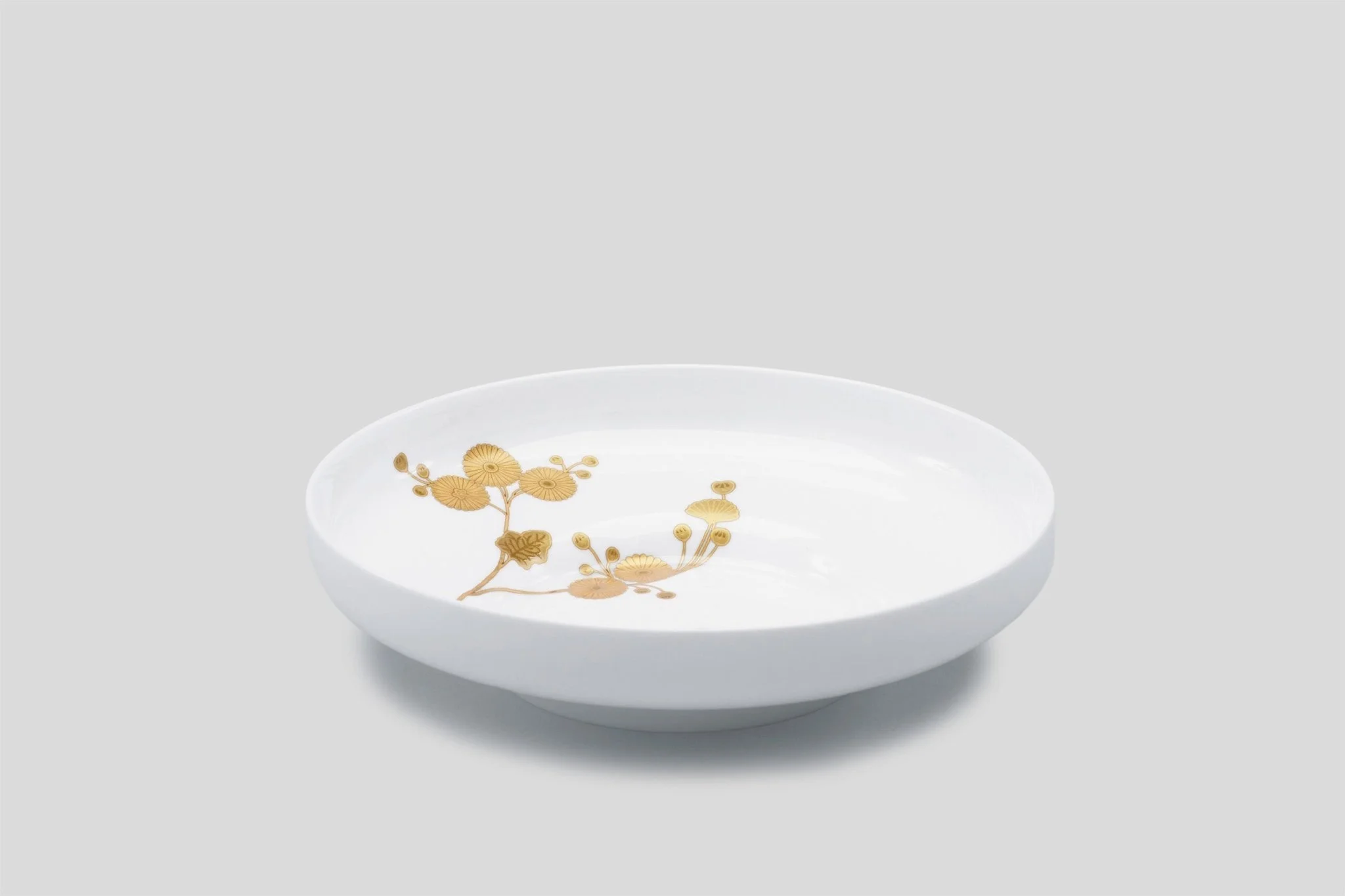 Deepplate-557401.jpg
