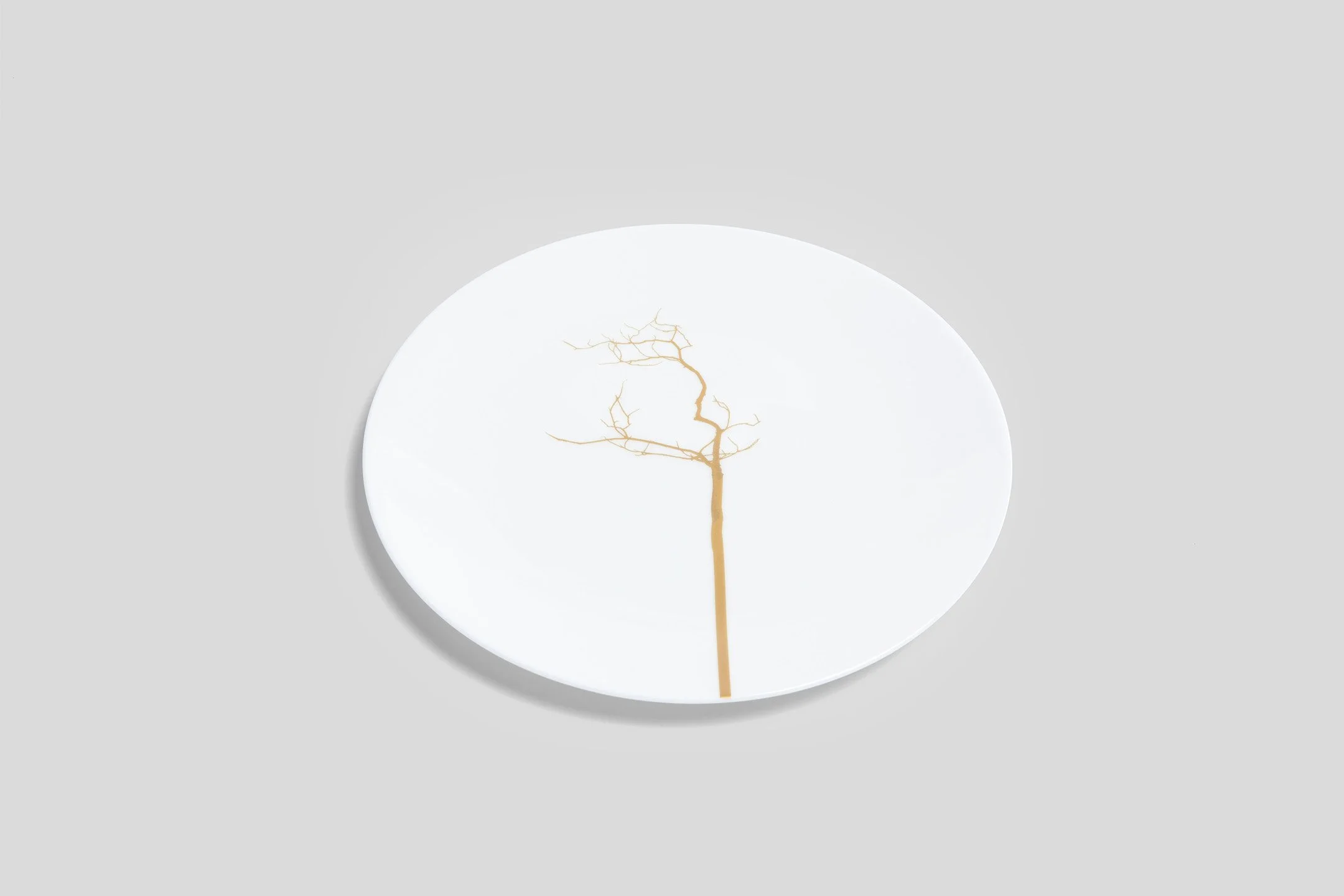 bodo_sperlein_dibbern_golden_forest_plate_dessert_1.jpg