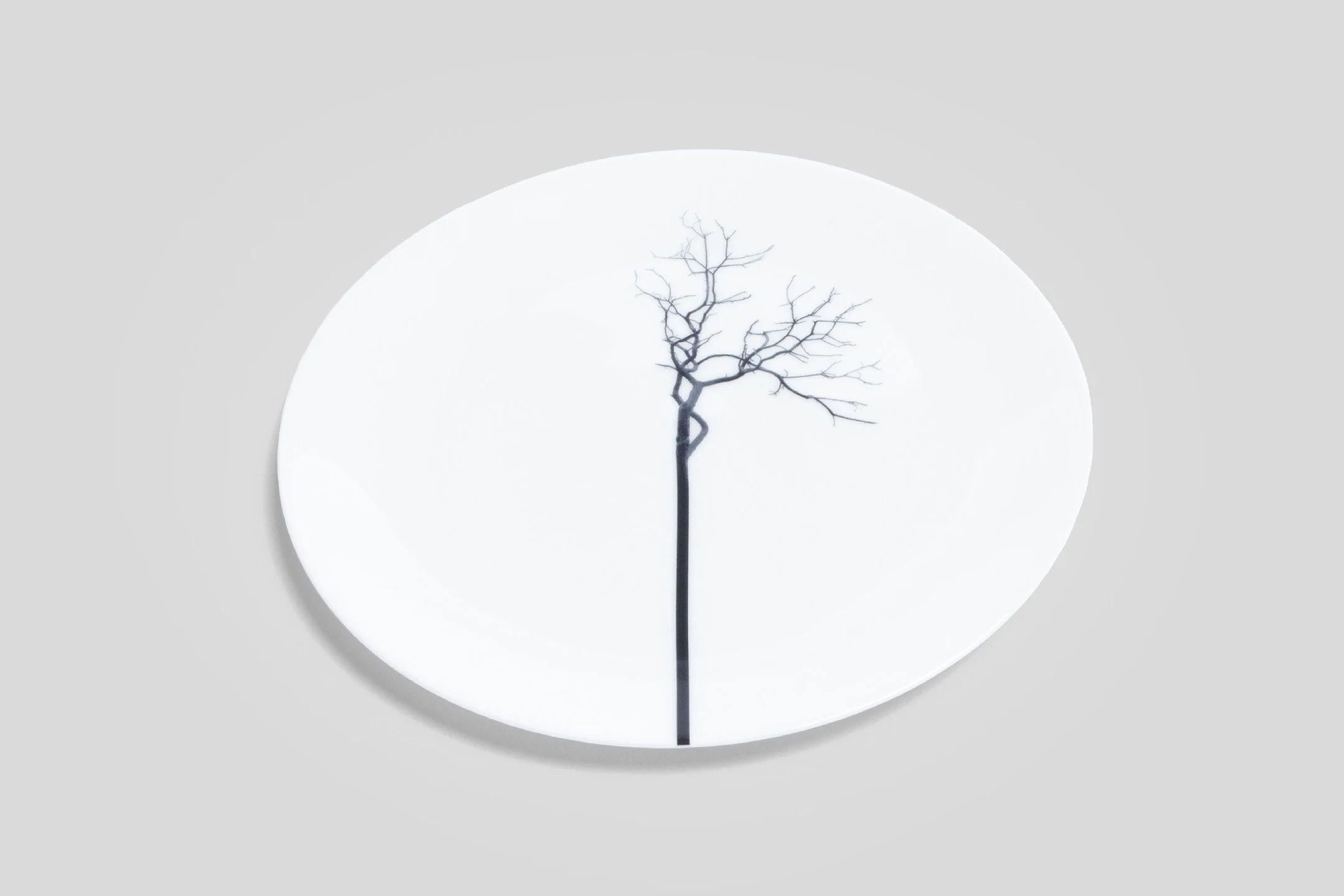 bodo_sperlein_dibbern_black_forest_dinner_plate_1jpg_839f8c05-aa9b-44e3-97cb-60acf52f81c3.jpg