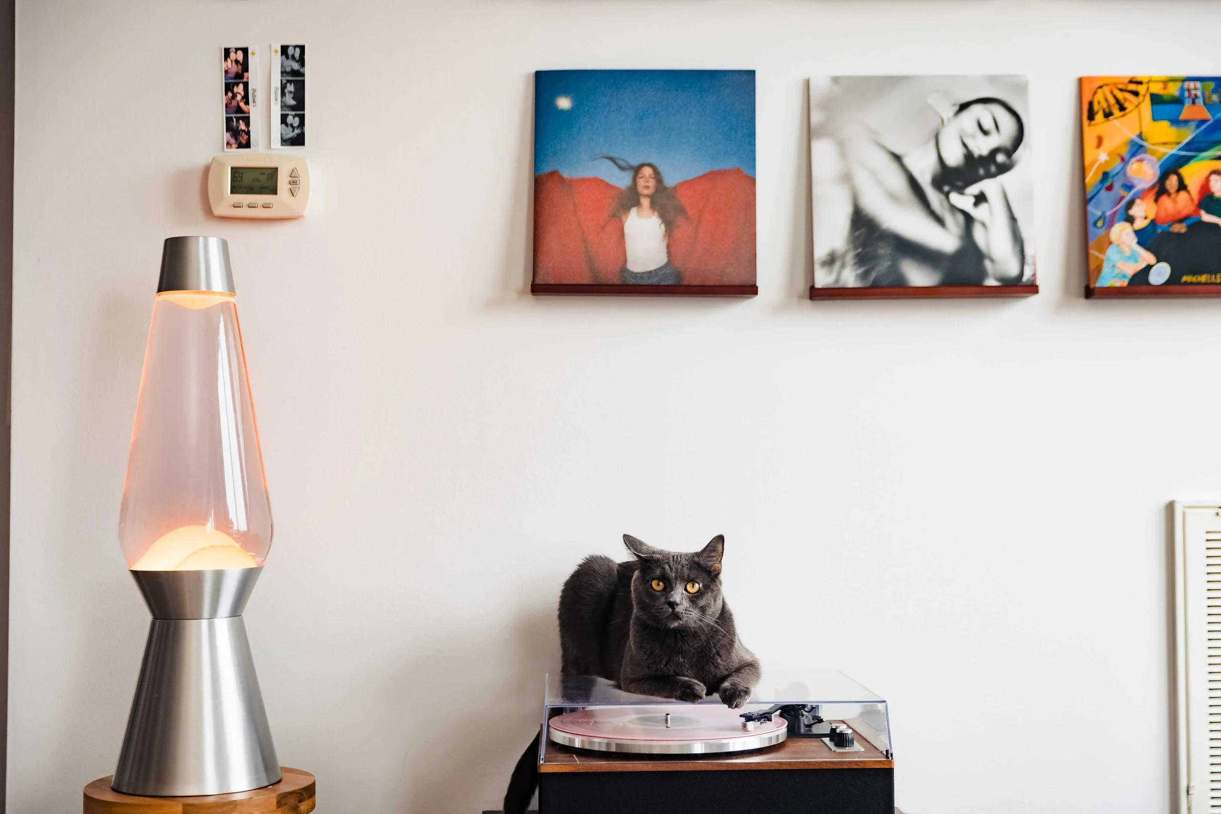 philadelphia-portrait-photographer-at-home-cat-9431.jpg