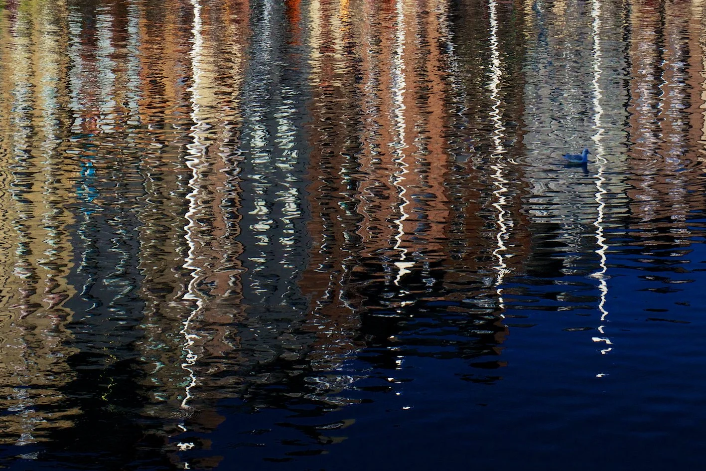 Honfleur - 21 août 2014 *.jpg