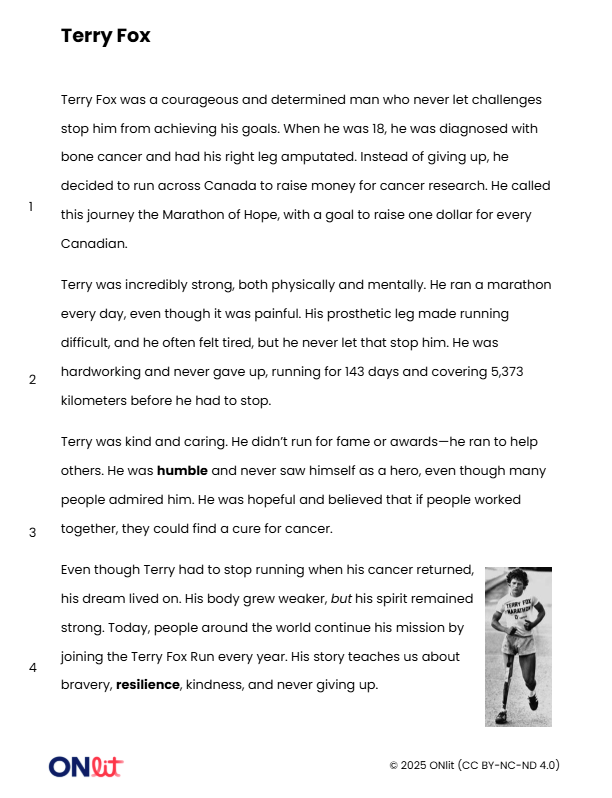 Mentor TExt.png