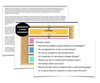 OSSLT Resources 7-10 — The Educators' Playground