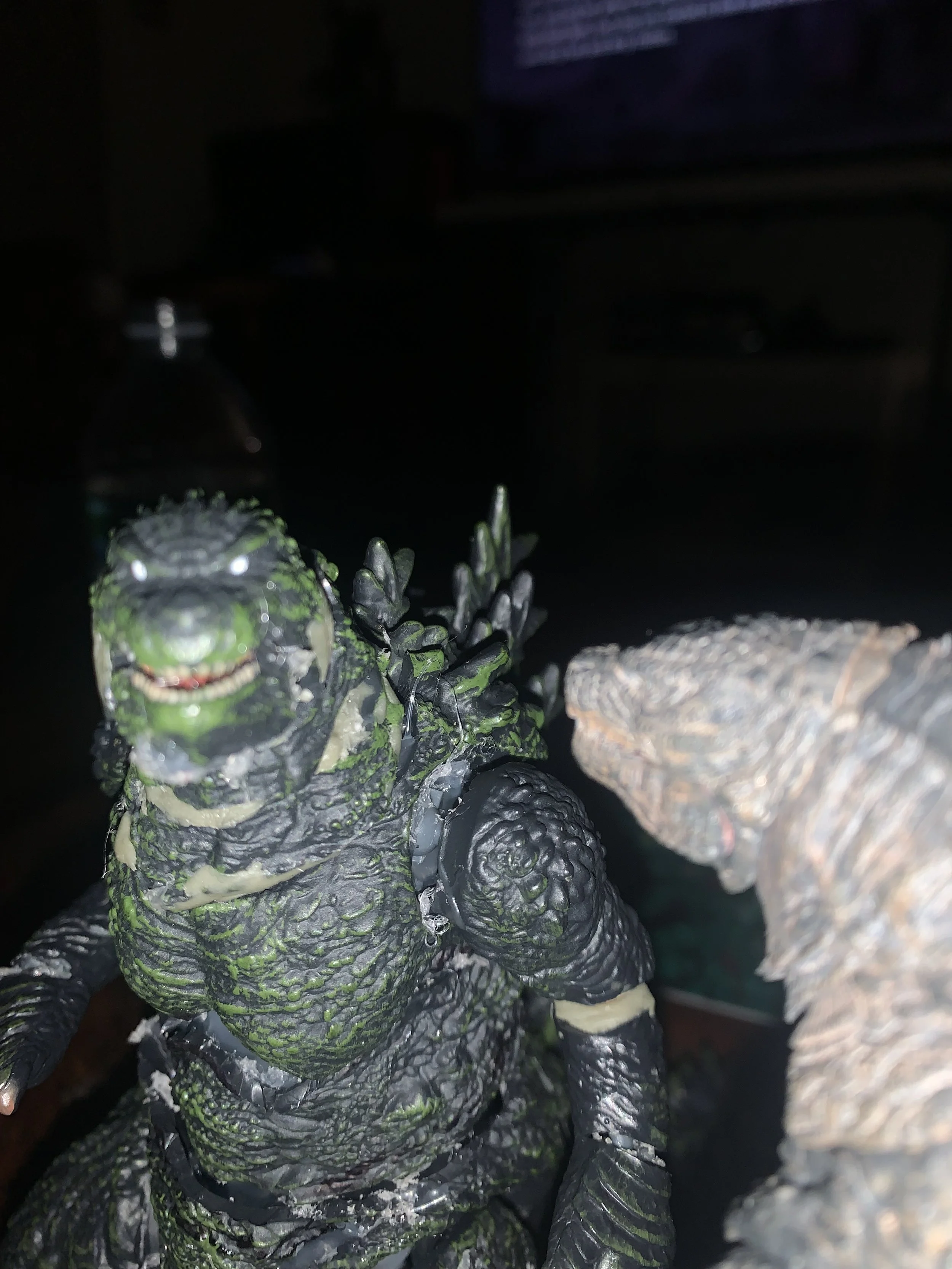 IMG_6605.jpeg